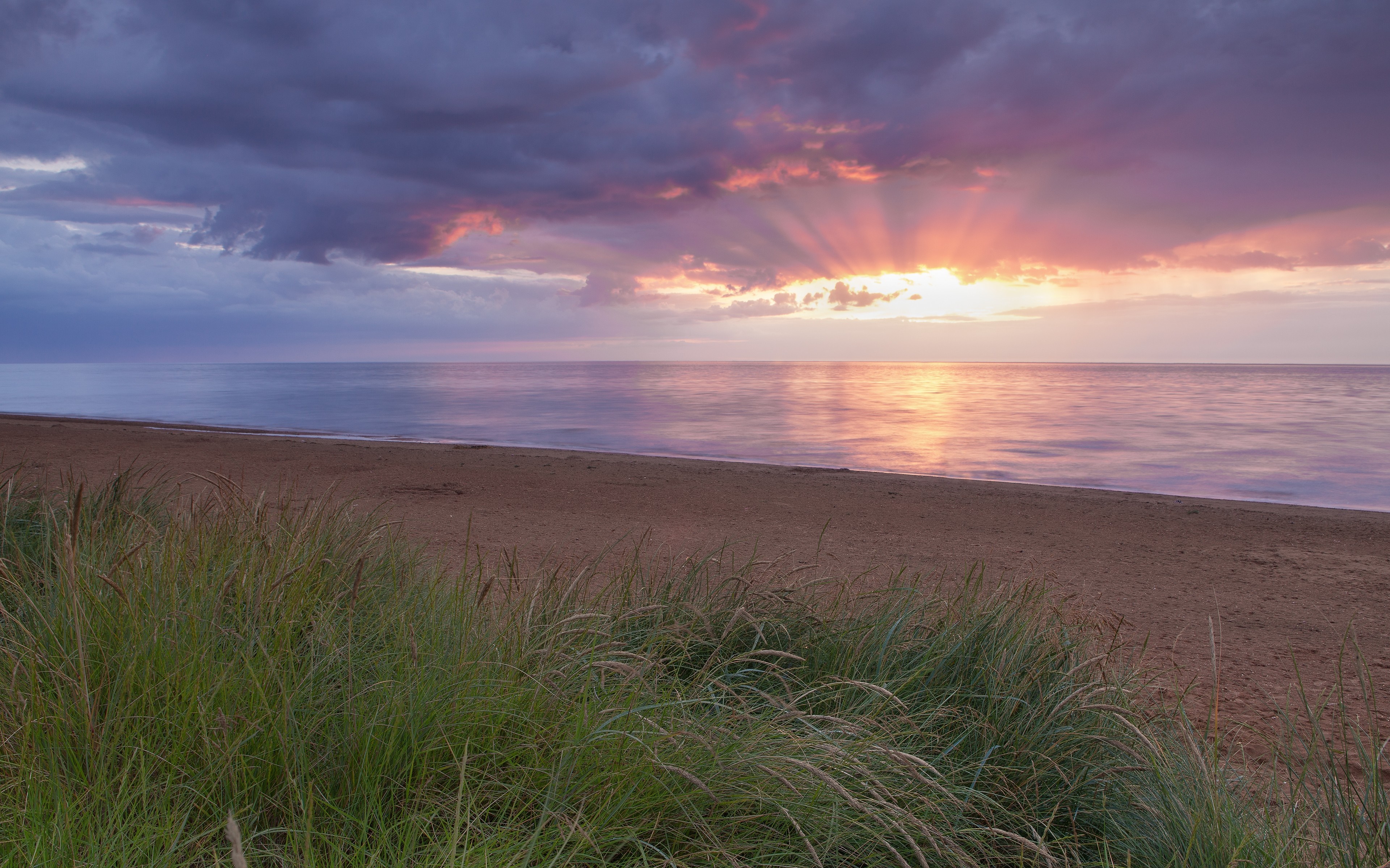 Sunset over the sea with beach and grass HD Wallpaper