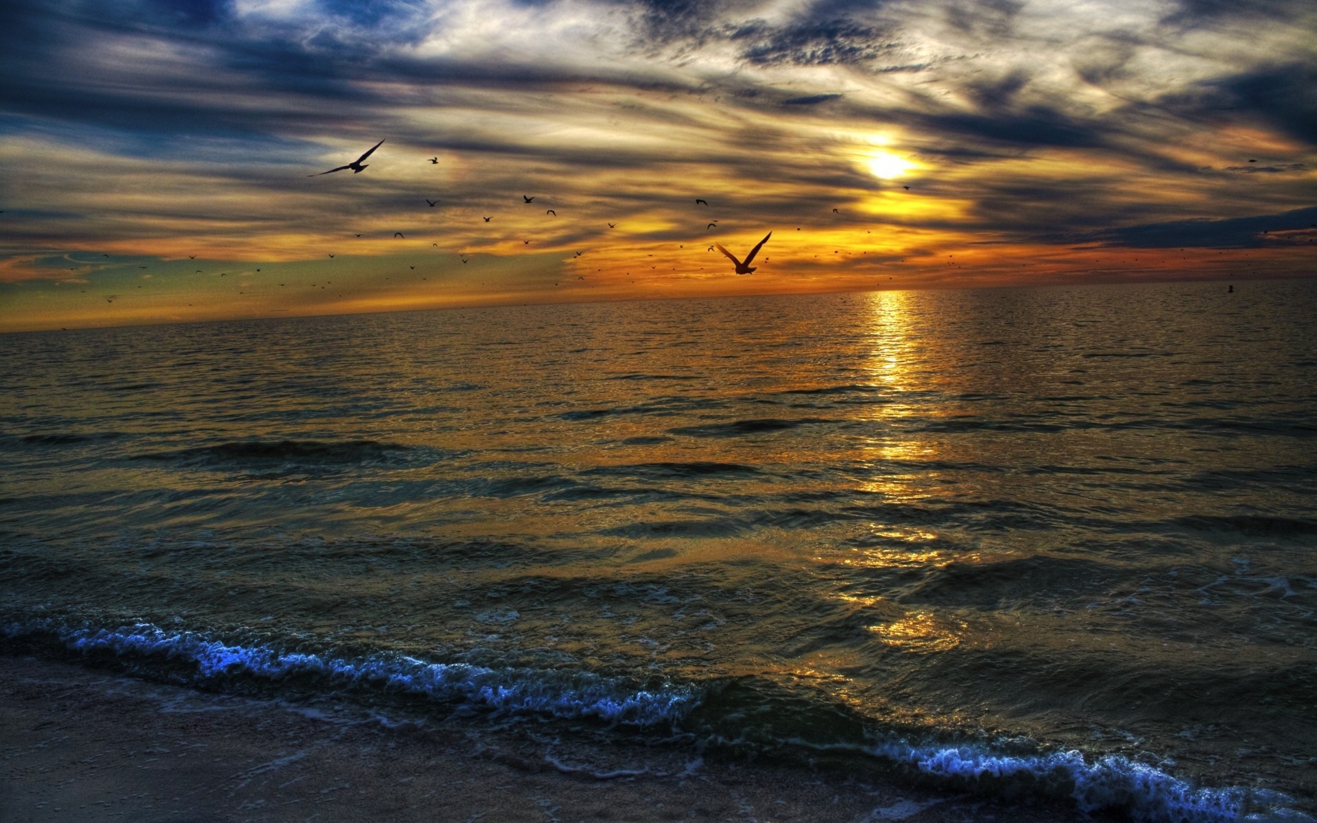 Sunset over the ocean with birds flying HD Wallpaper