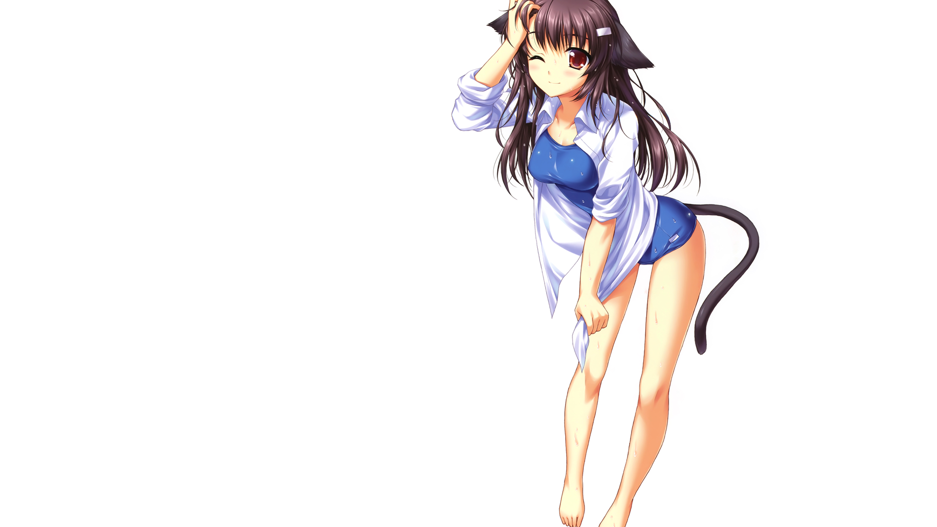 Anime cat girl in school swimsuit and white shirt HD Wallpaper
