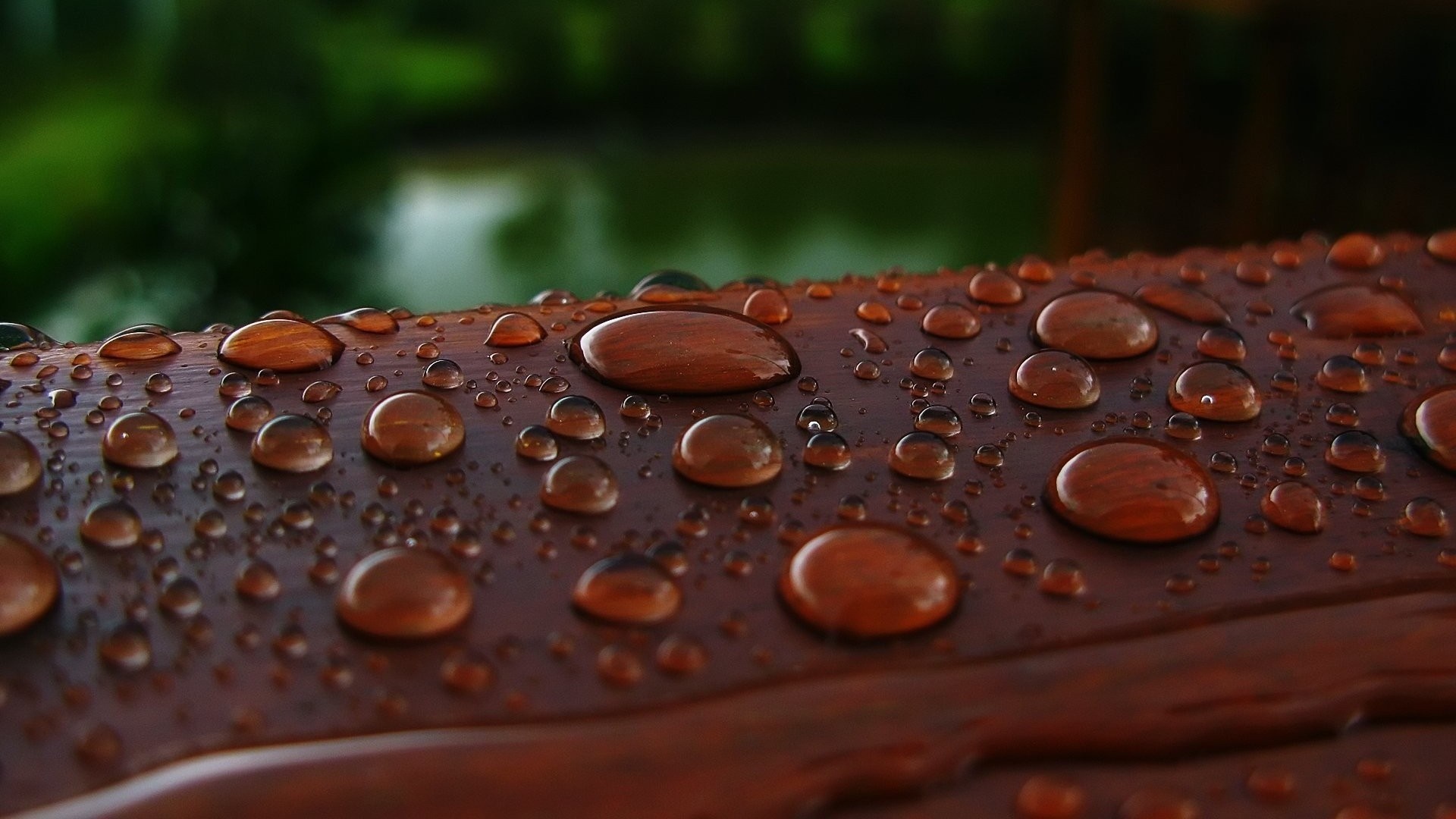 Water droplets on a wooden surface HD Wallpaper
