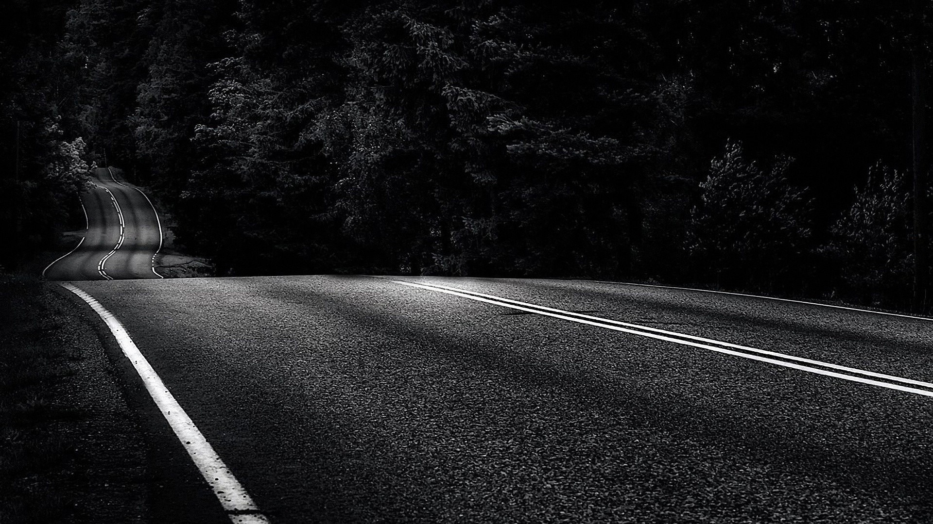 Winding road through dark forest at night HD Wallpaper