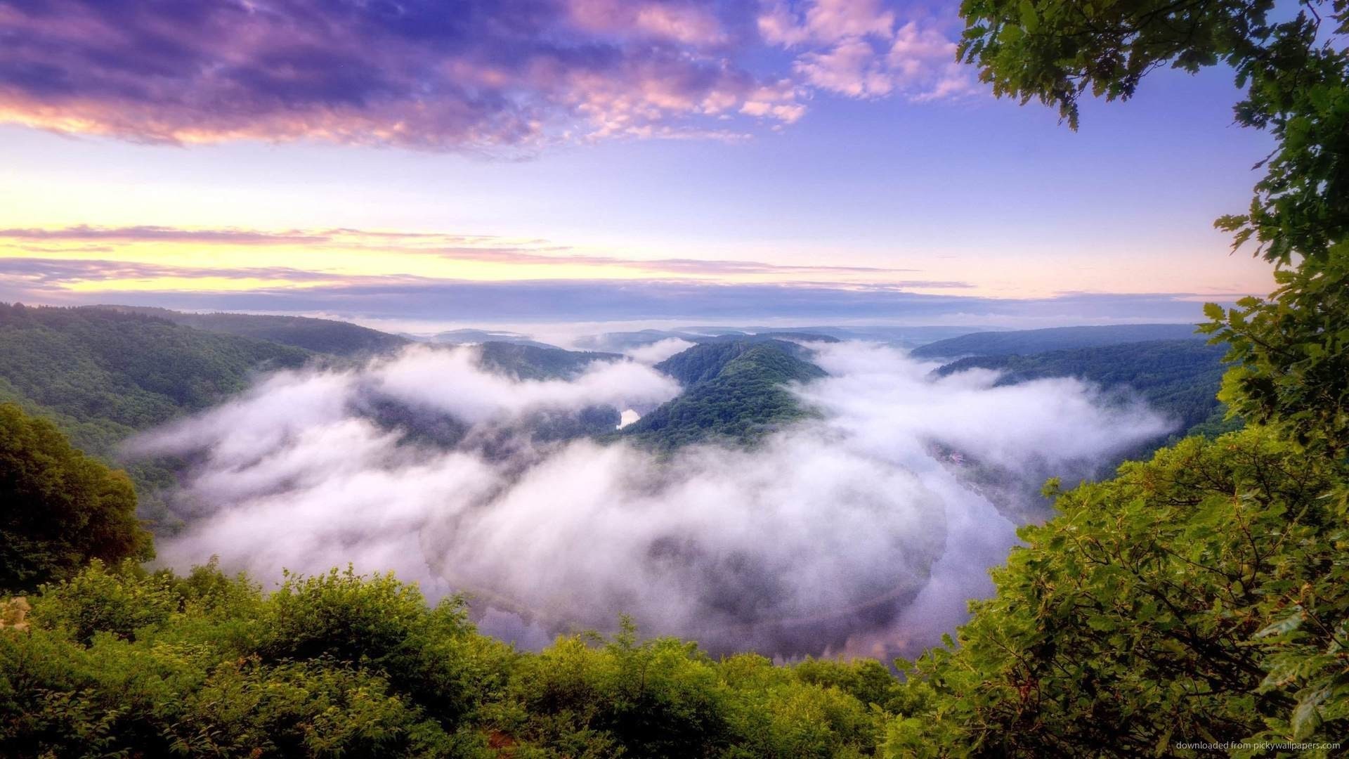 Misty valley with river at sunrise HD Wallpaper