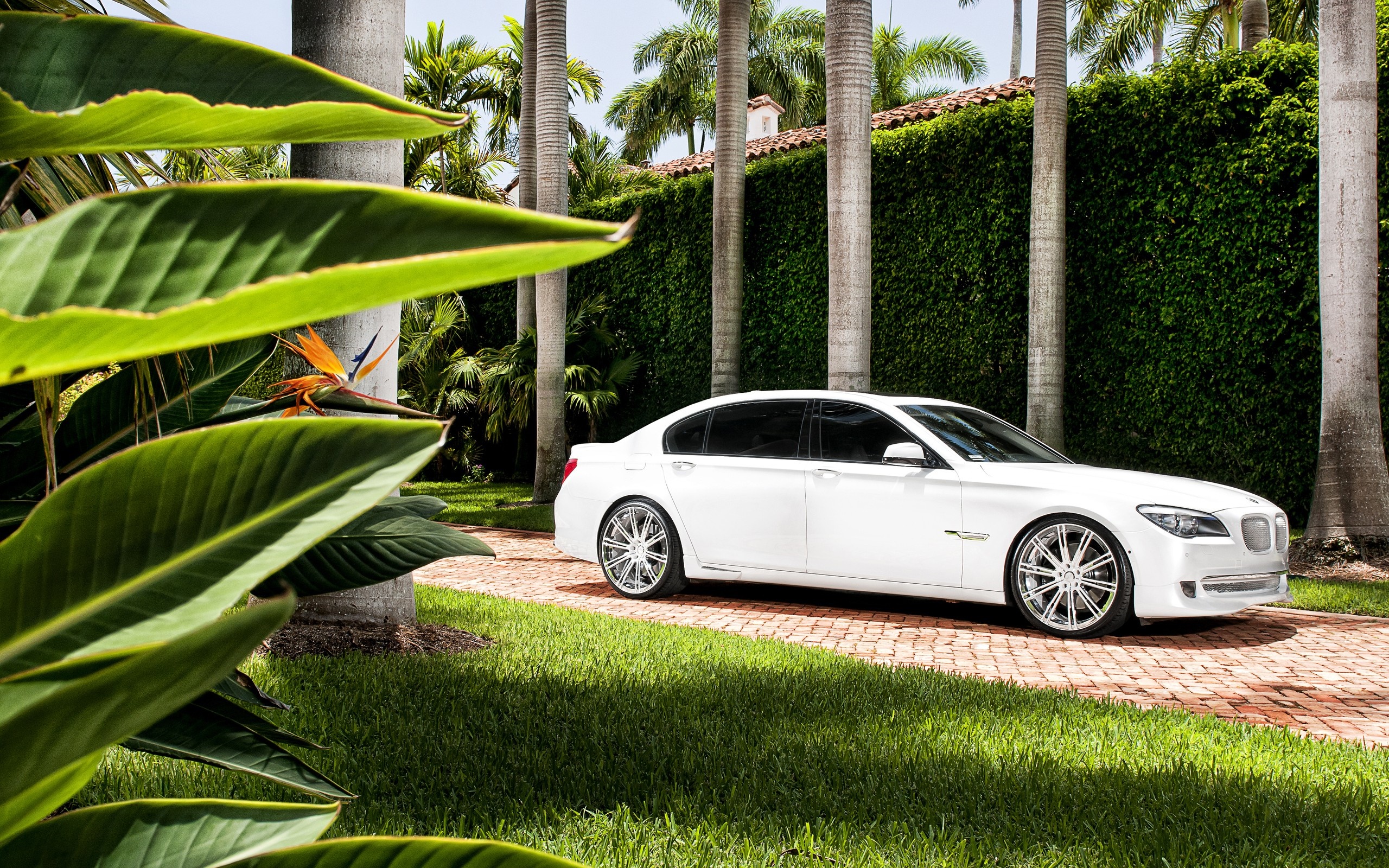 White BMW Sedan on a Brick Driveway HD Wallpaper