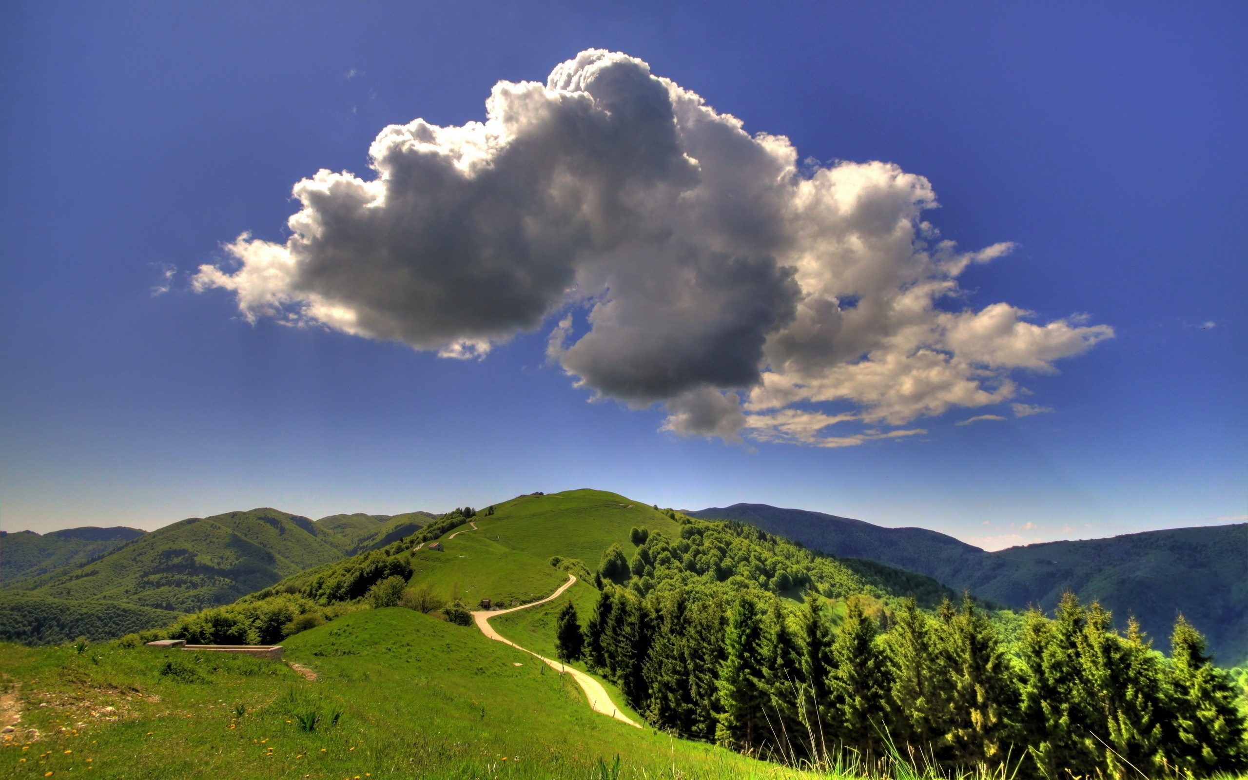 Green rolling hills under a cloudy blue sky HD Wallpaper