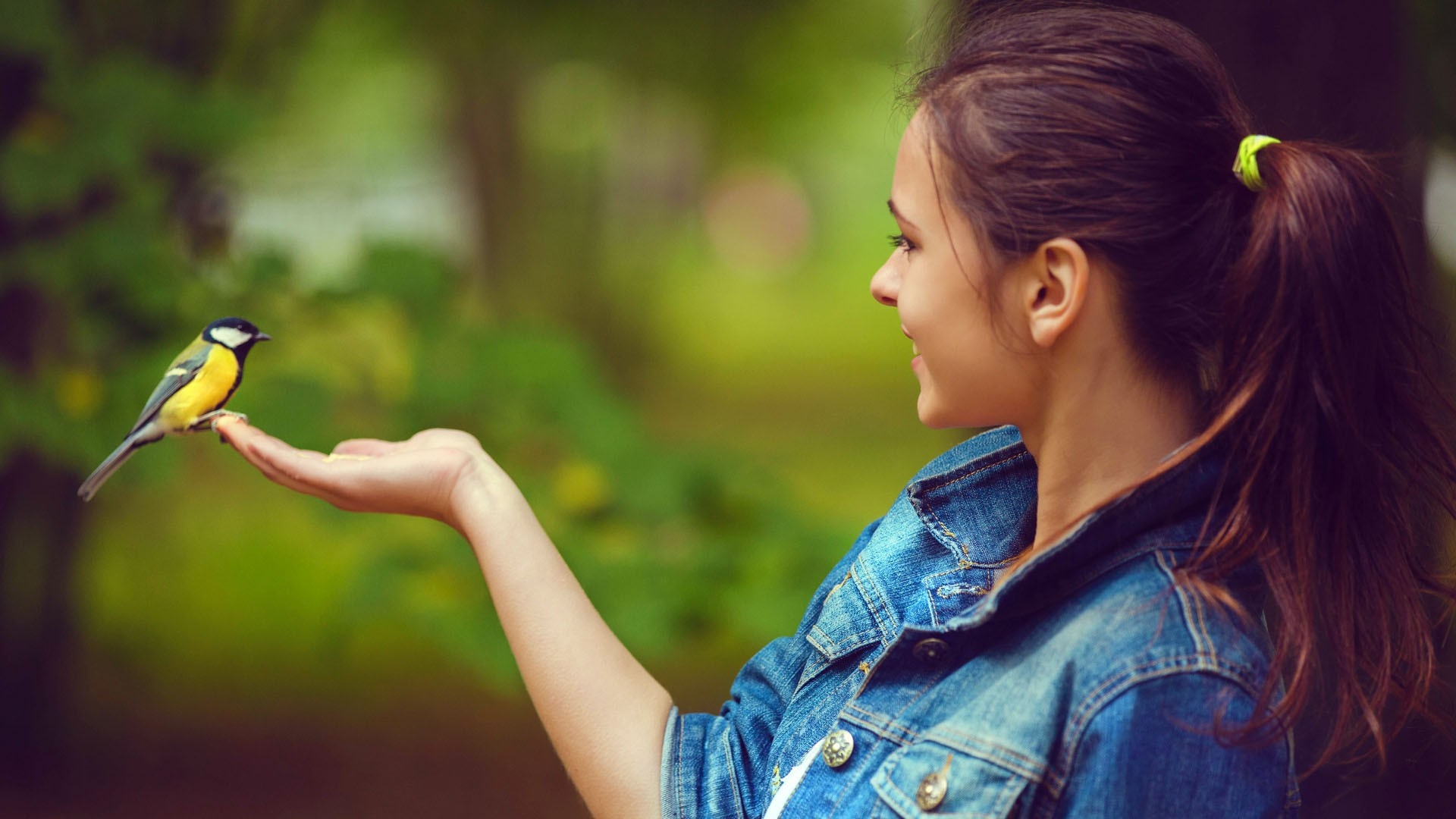 Girl with a bird on her hand HD Wallpaper