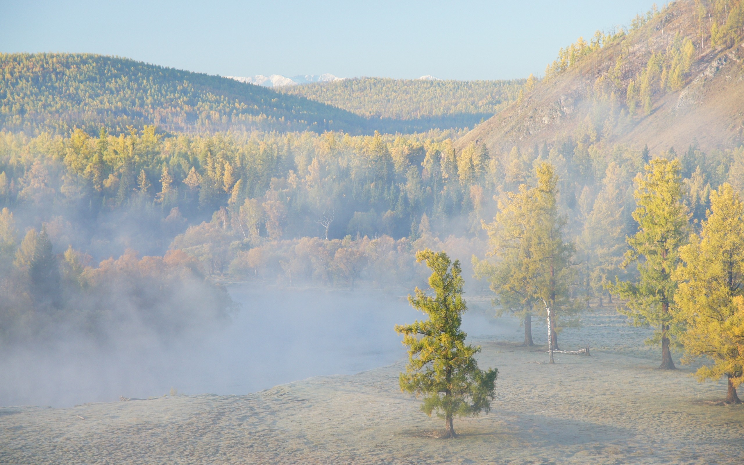 Misty valley with autumn trees and mountains HD Wallpaper