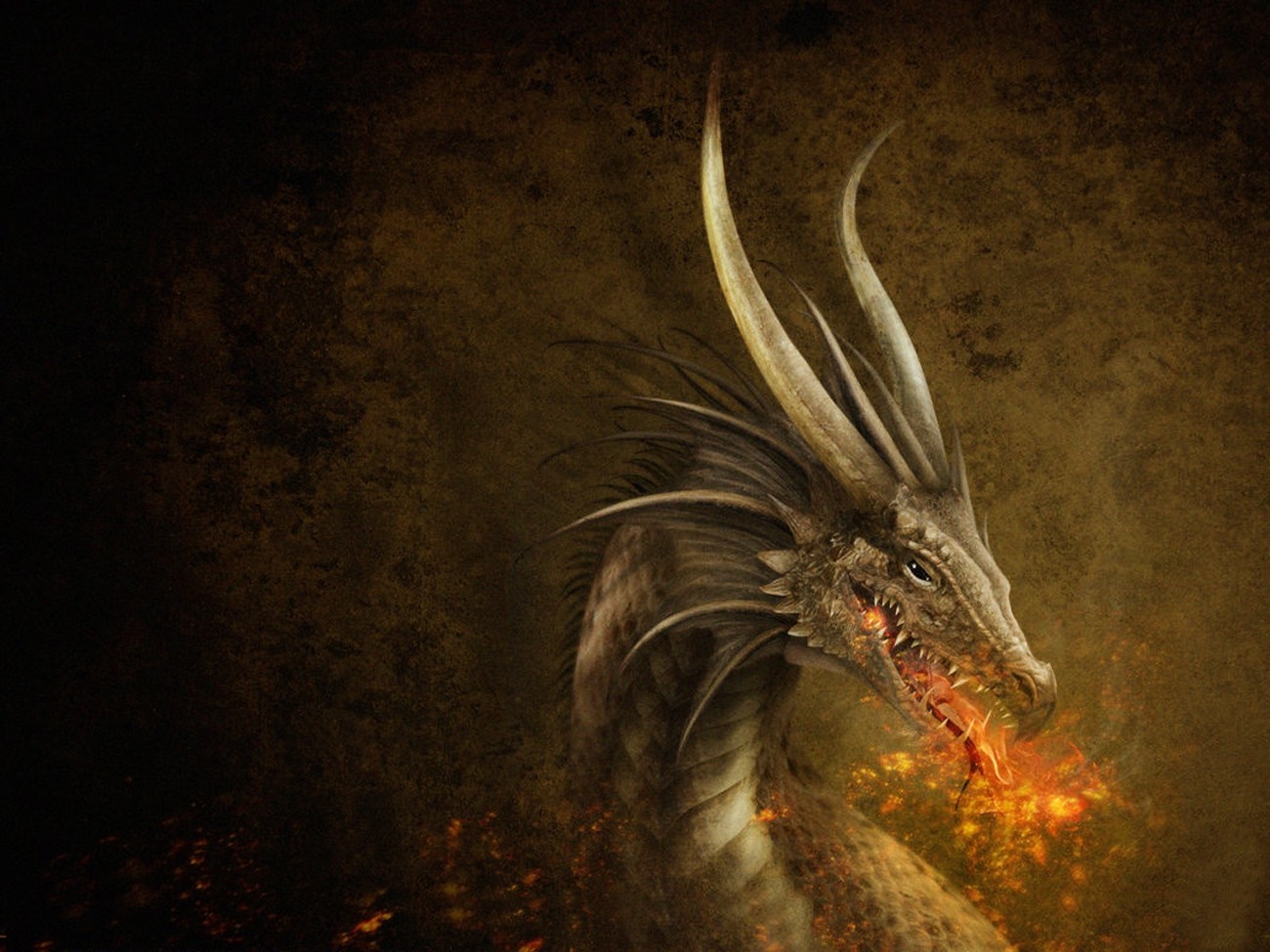 Dragon breathing fire in darkness HD Wallpaper