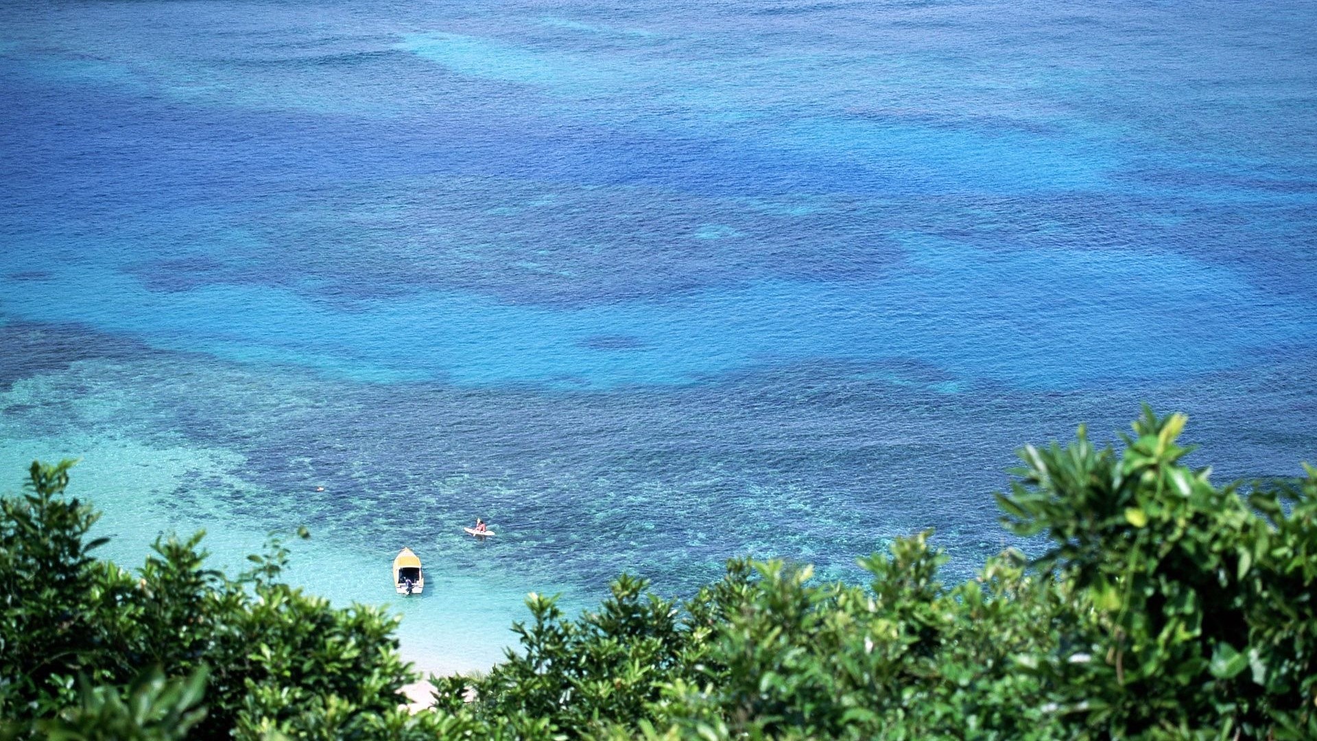 Boat and person in clear blue ocean with green foliage HD Wallpaper