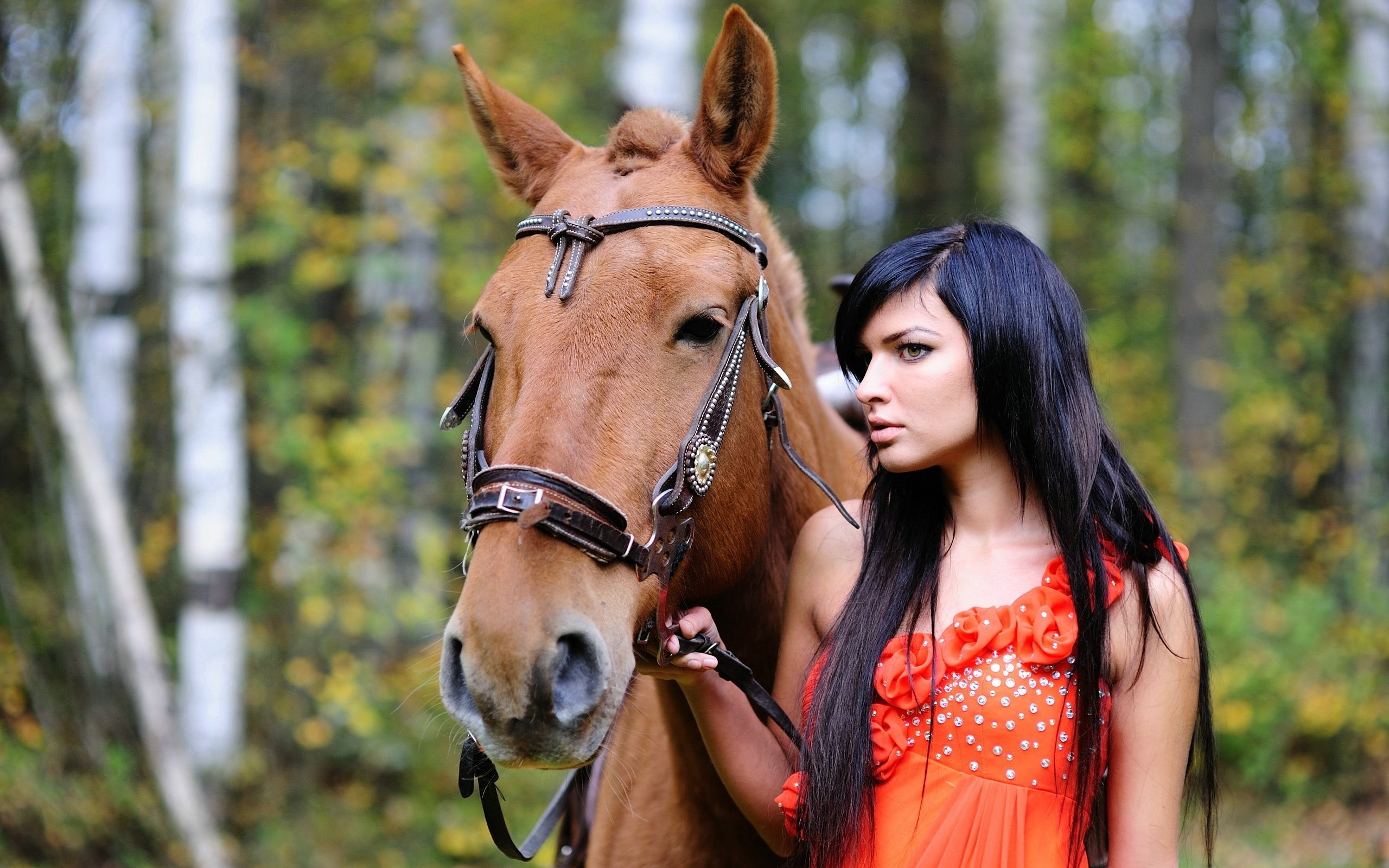 Woman with long dark hair and a brown horse HD Wallpaper