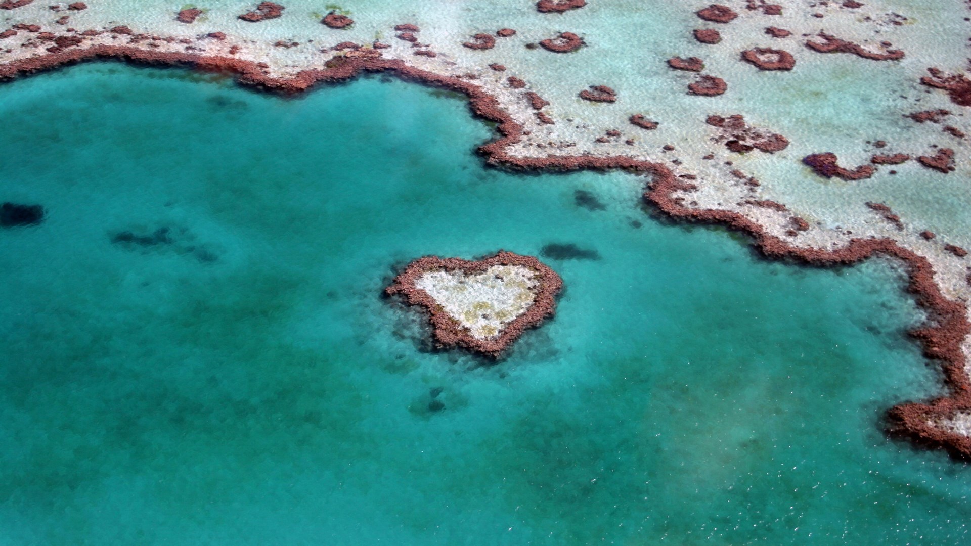 Heart Reef, Great Barrier Reef, Australia HD Wallpaper
