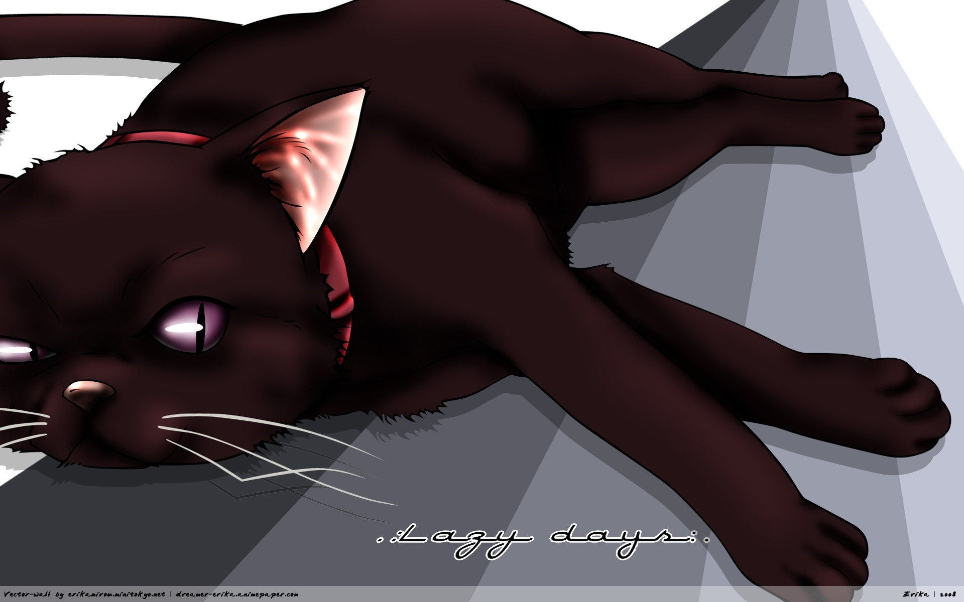Mao the cat from Darker than Black HD Wallpaper