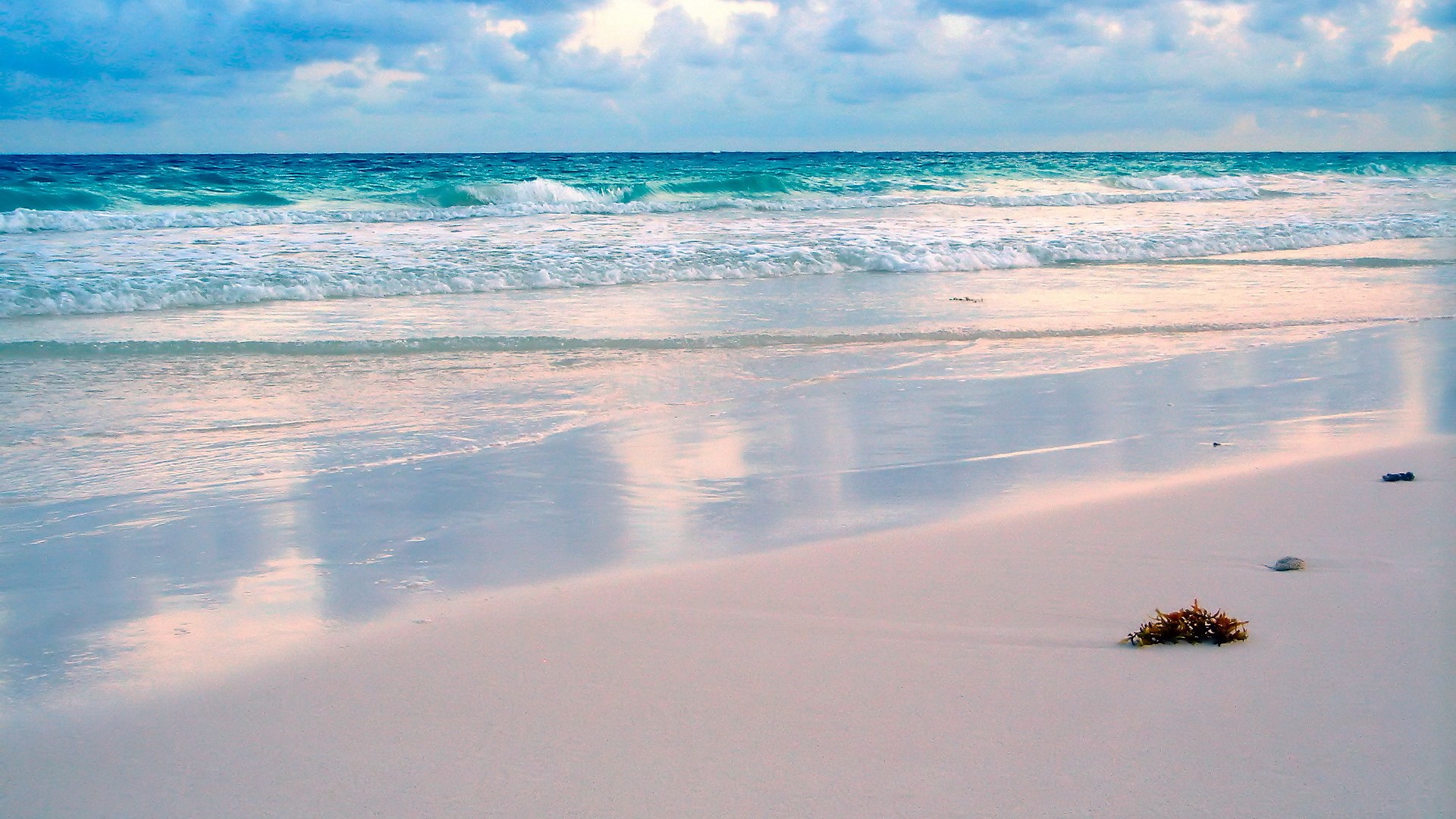 Ocean waves on a sandy beach with seaweed HD Wallpaper