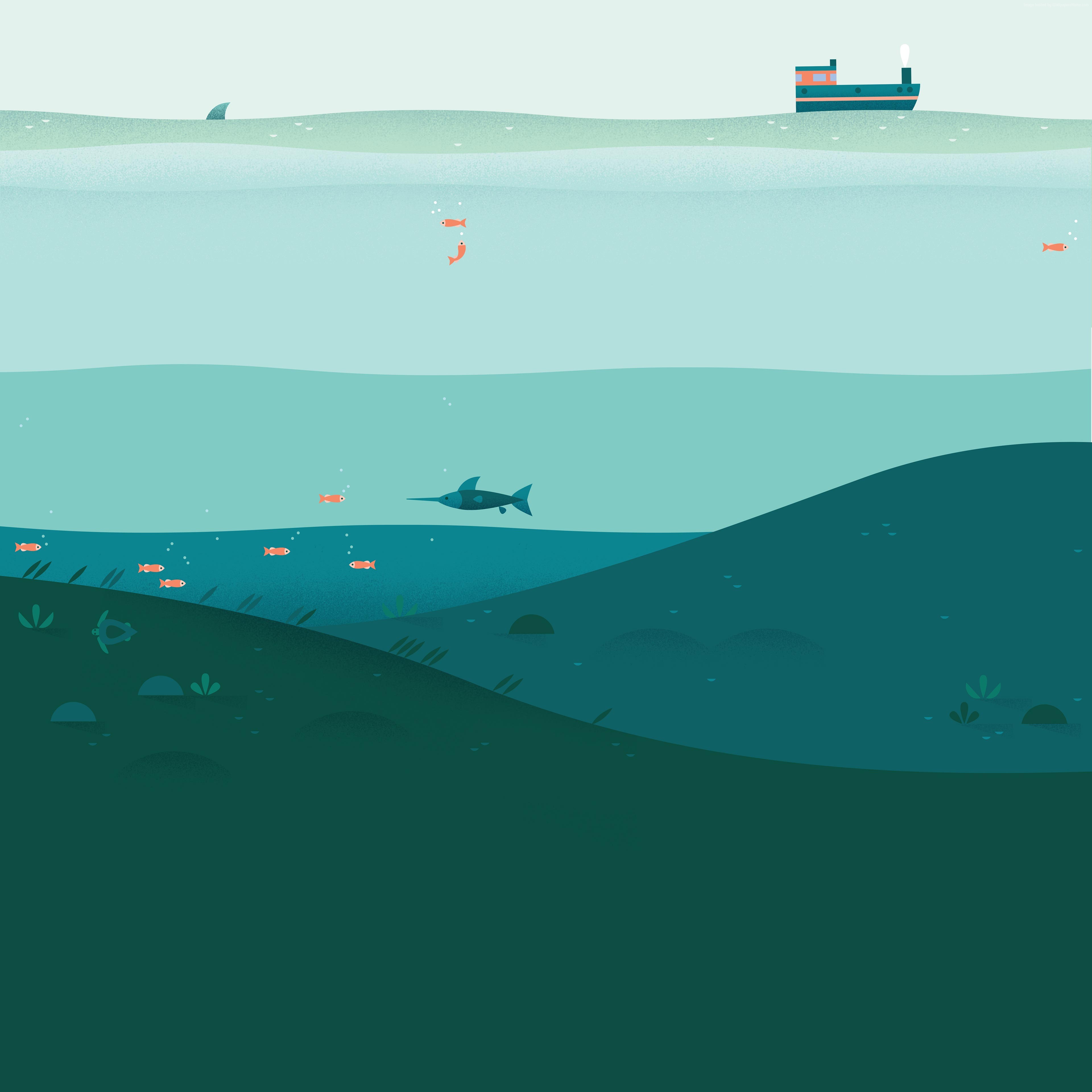 Underwater scene with fish and a swordfish HD Wallpaper