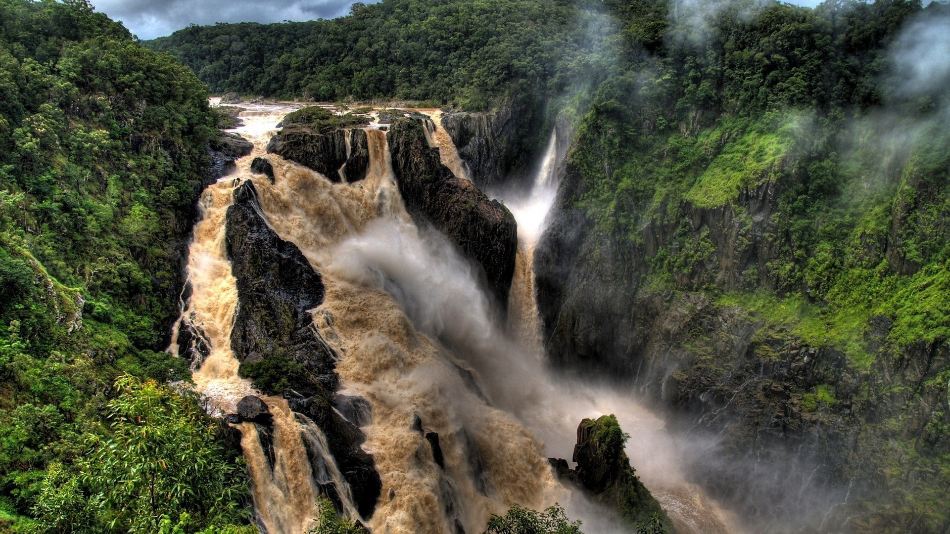 Brown waterfall cascading through a lush green rainforest HD Wallpaper