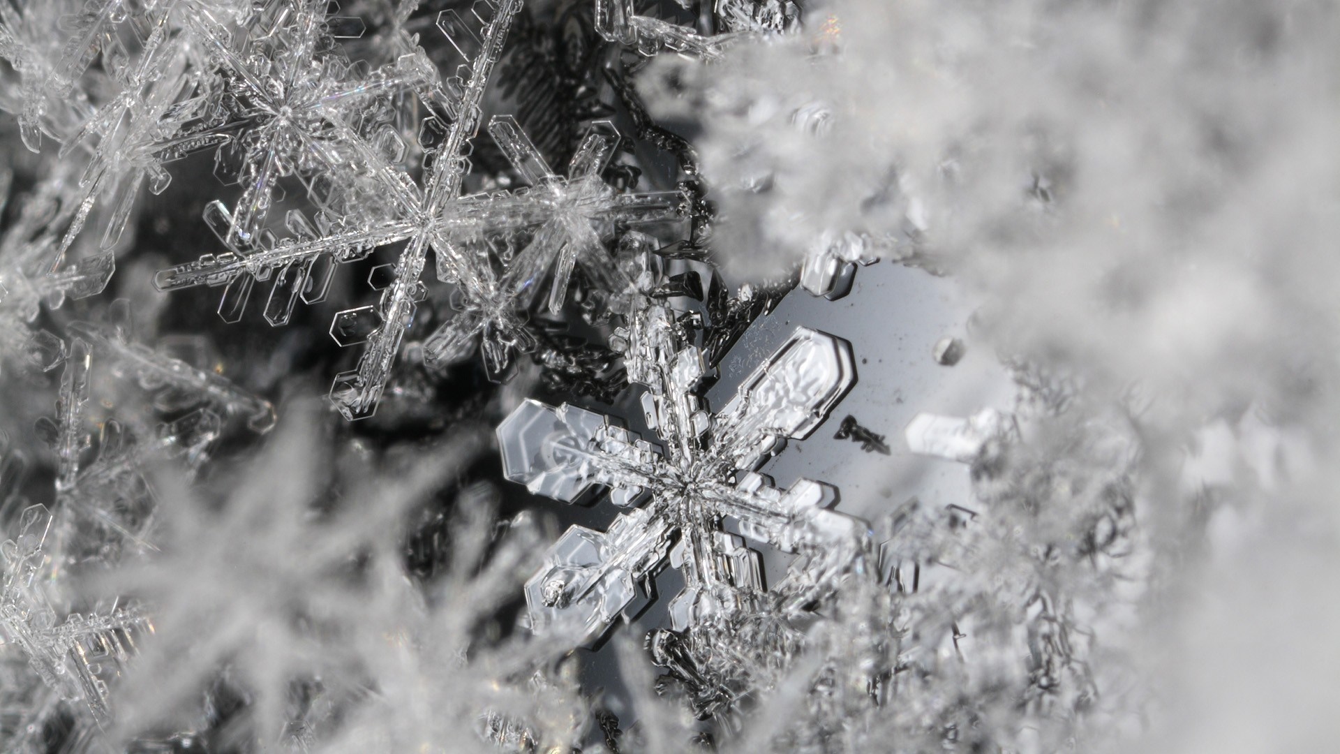 Close-up of intricate snowflakes in macro photography HD Wallpaper