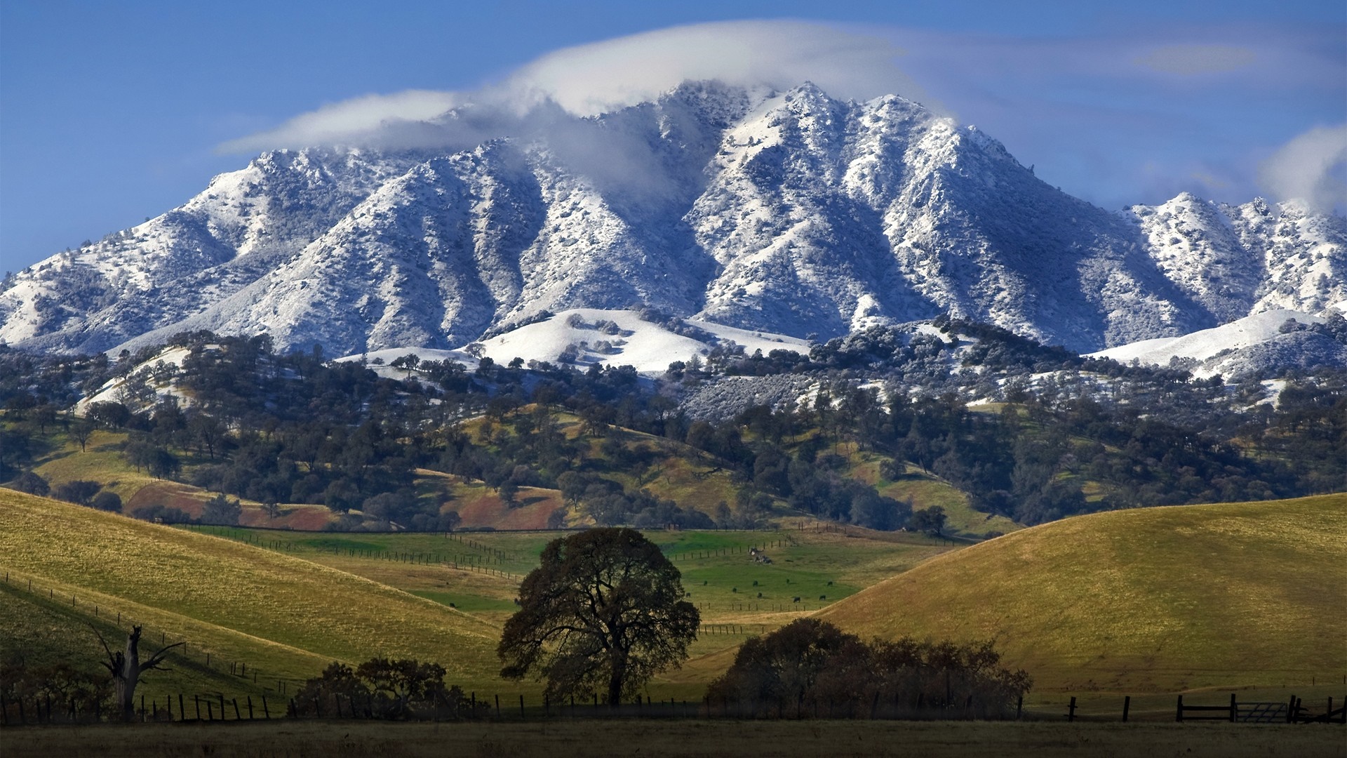 Snow-capped mountains overlooking rolling hills and trees HD Wallpaper