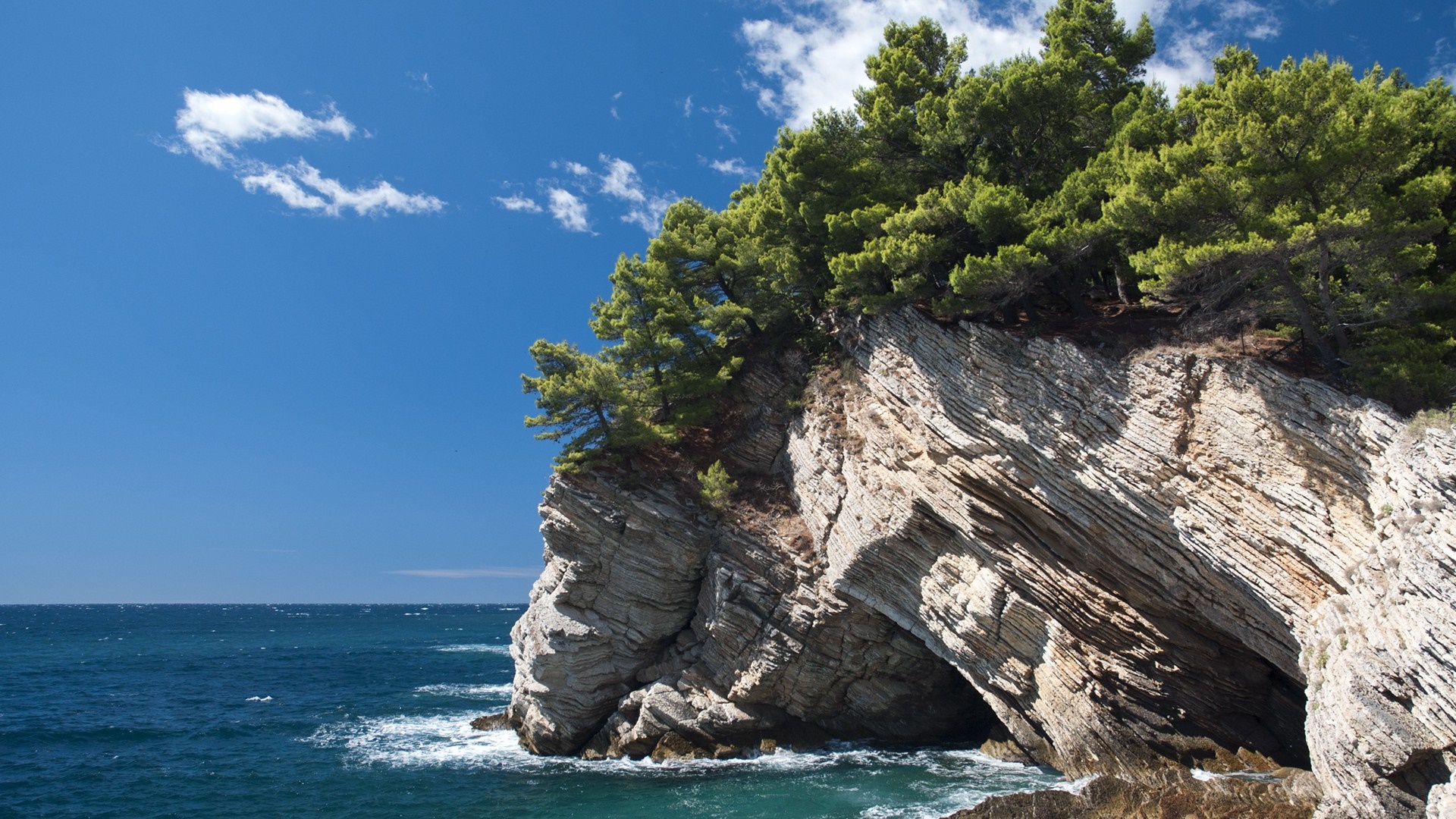 Rocky cliff with pine trees overlooking the sea HD Wallpaper