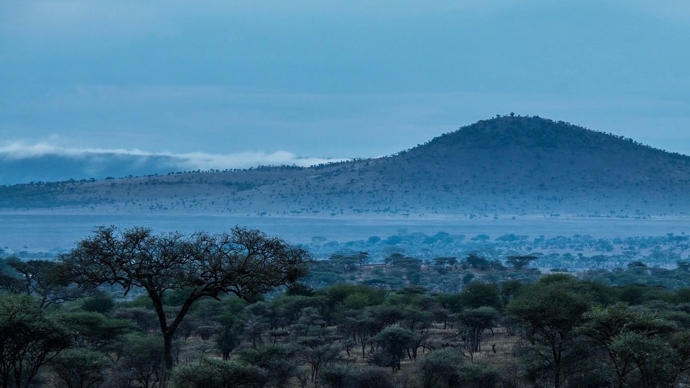 African savanna landscape with acacia trees and a distant mountain HD Wallpaper