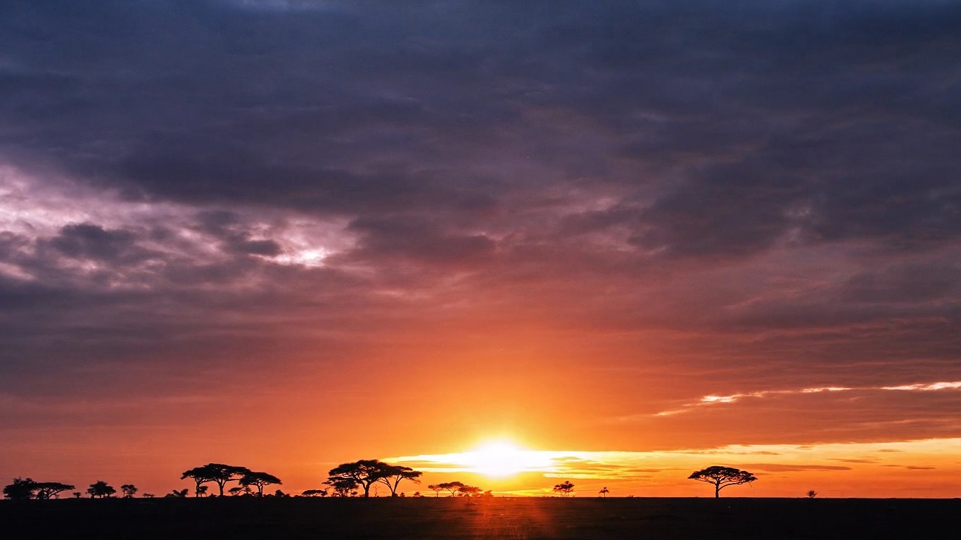 Sunset over the African savanna with acacia trees HD Wallpaper