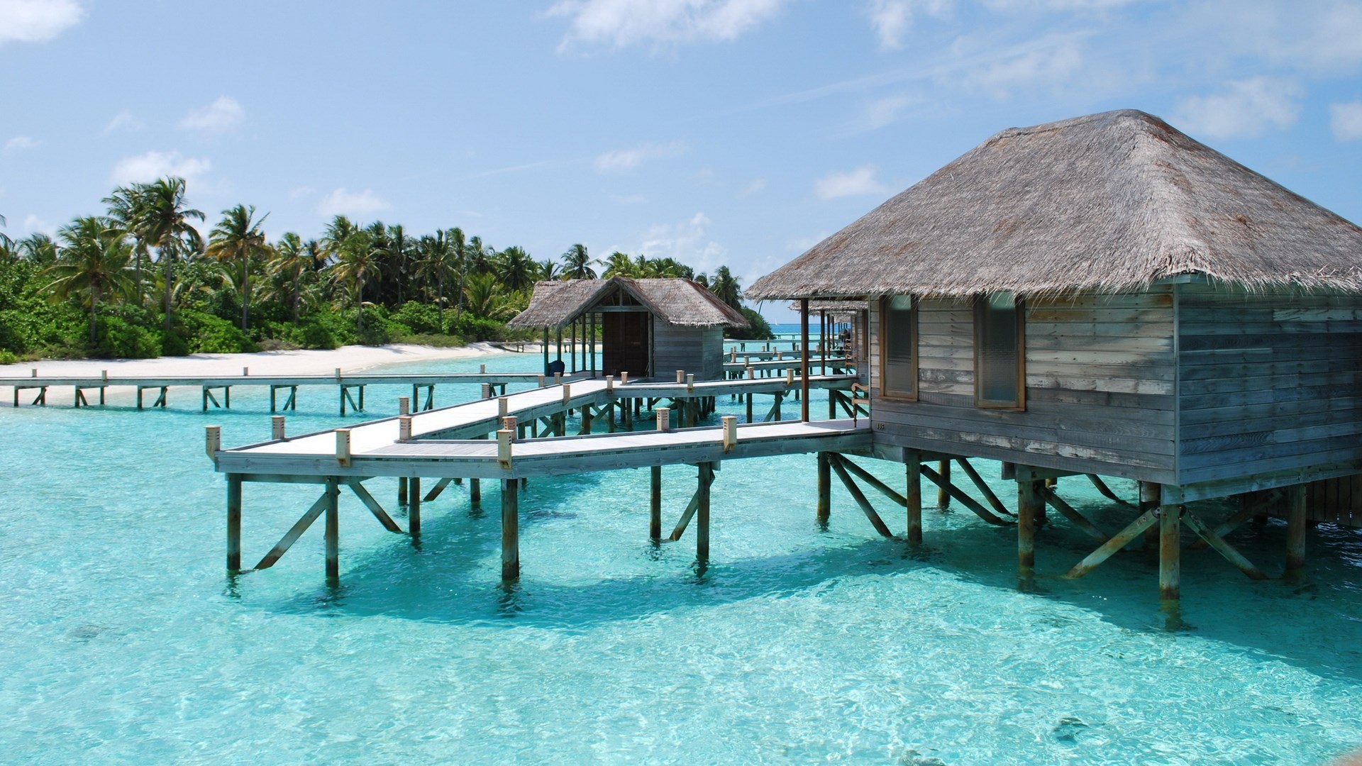 Overwater bungalows on stilts in turquoise water HD Wallpaper