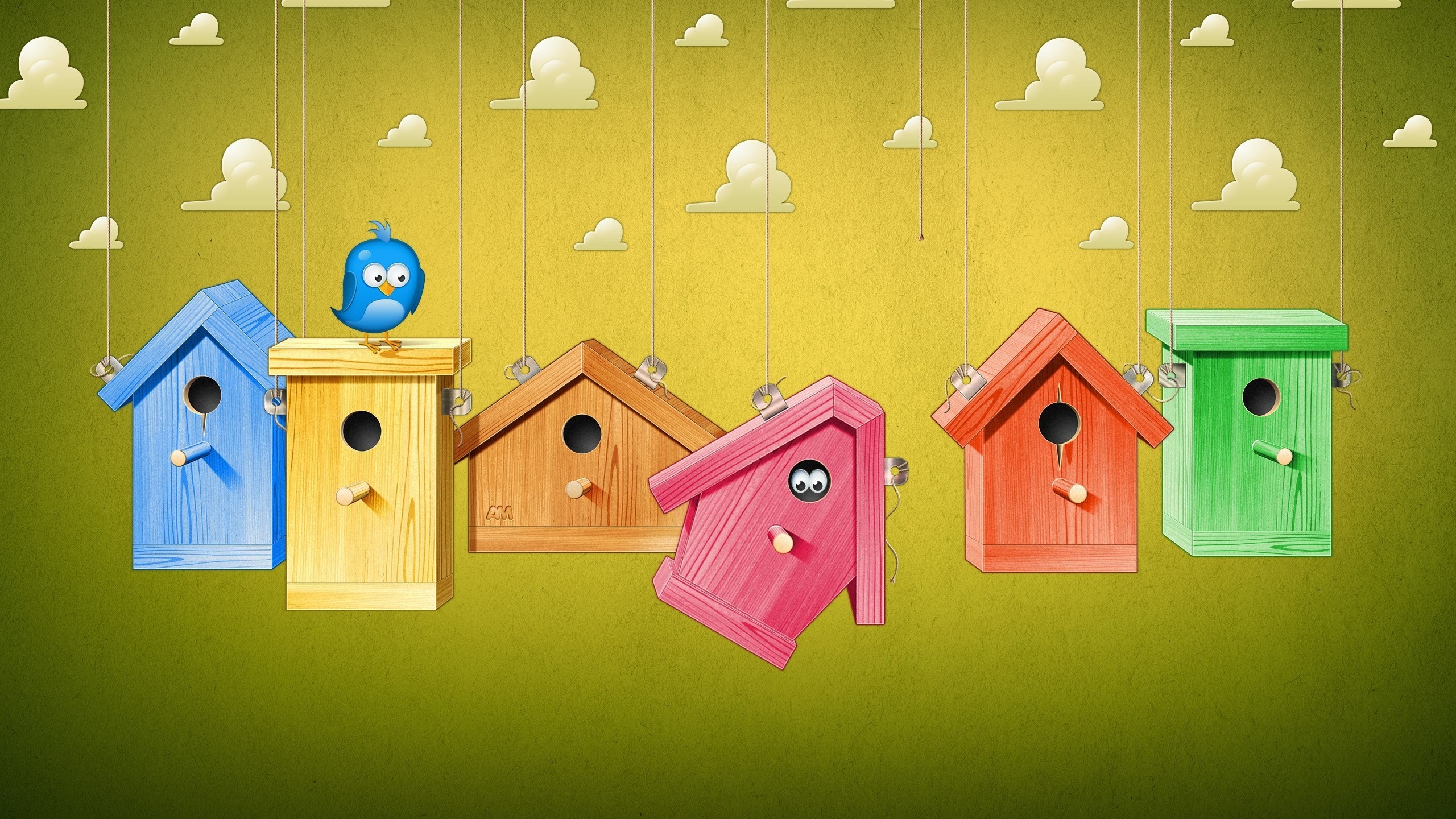 Colorful birdhouses hanging with a blue bird HD Wallpaper