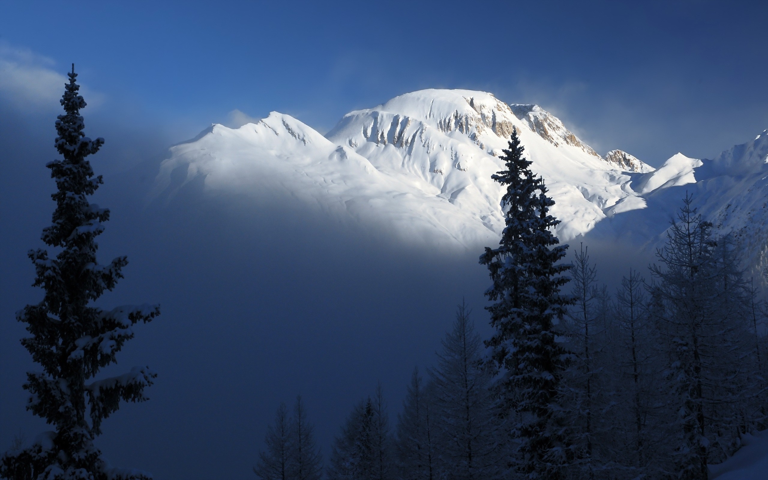 Snowy mountains and pine trees under a blue sky HD Wallpaper