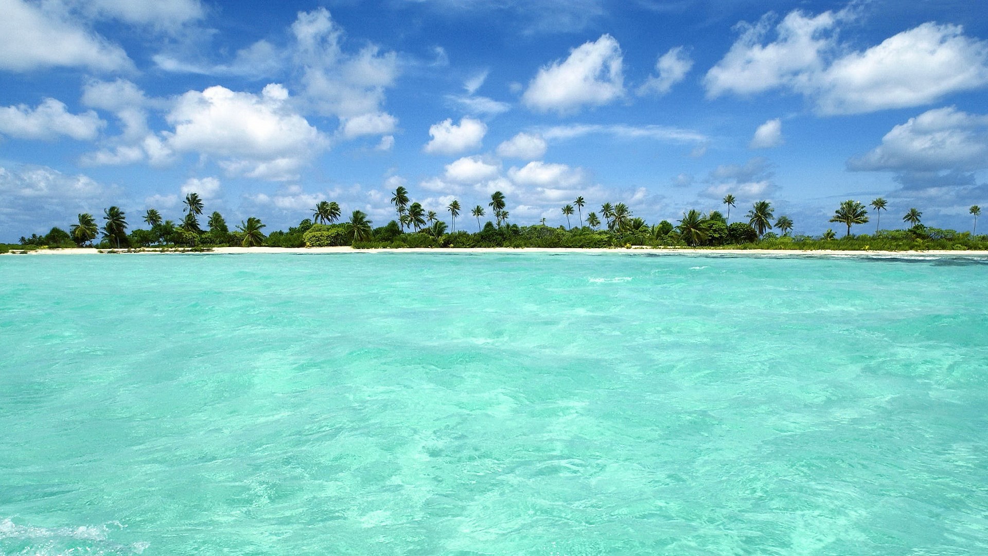 Turquoise ocean water with a tropical island and palm trees HD Wallpaper