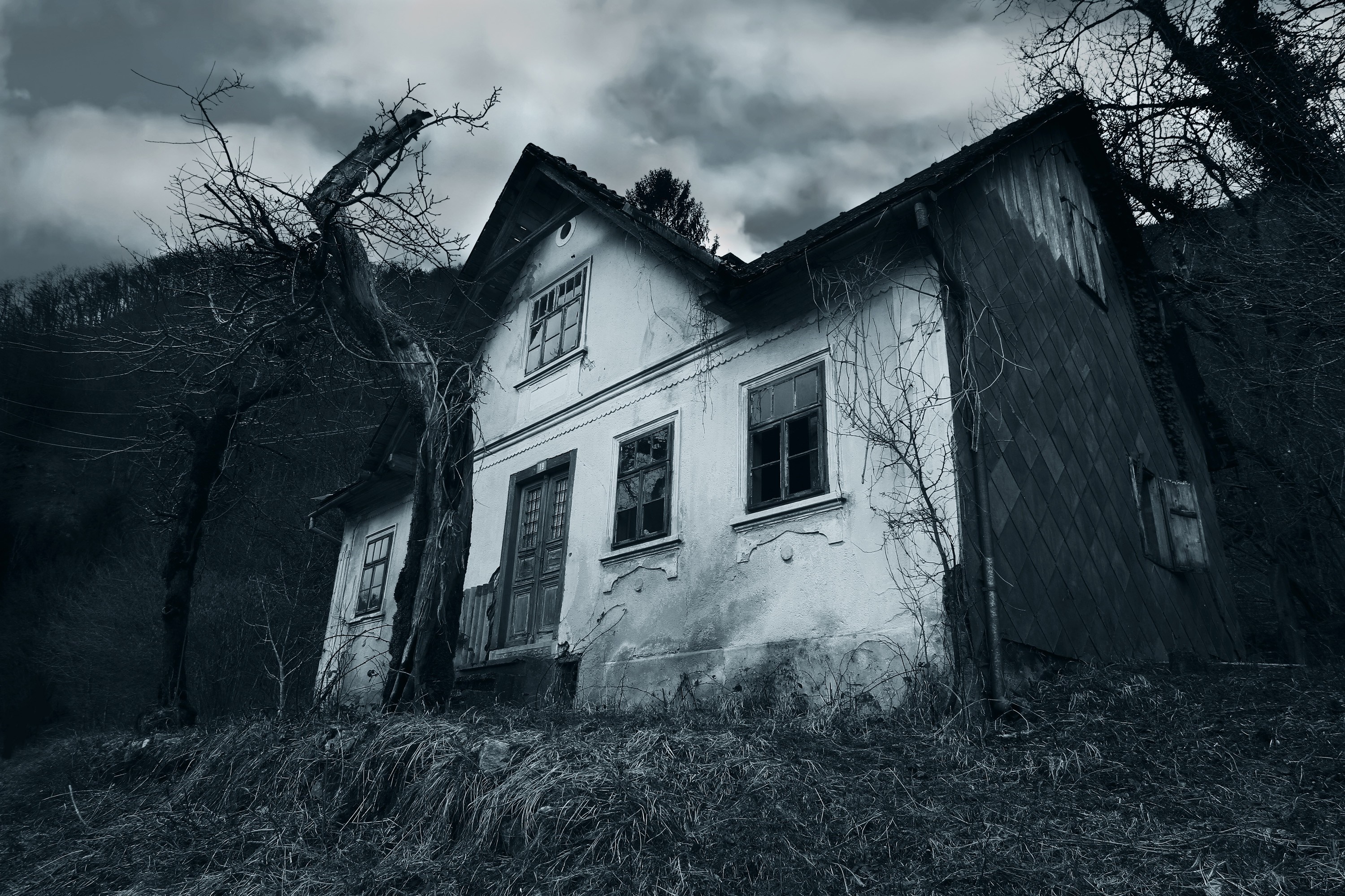 Abandoned house in a dark, monochrome landscape HD Wallpaper
