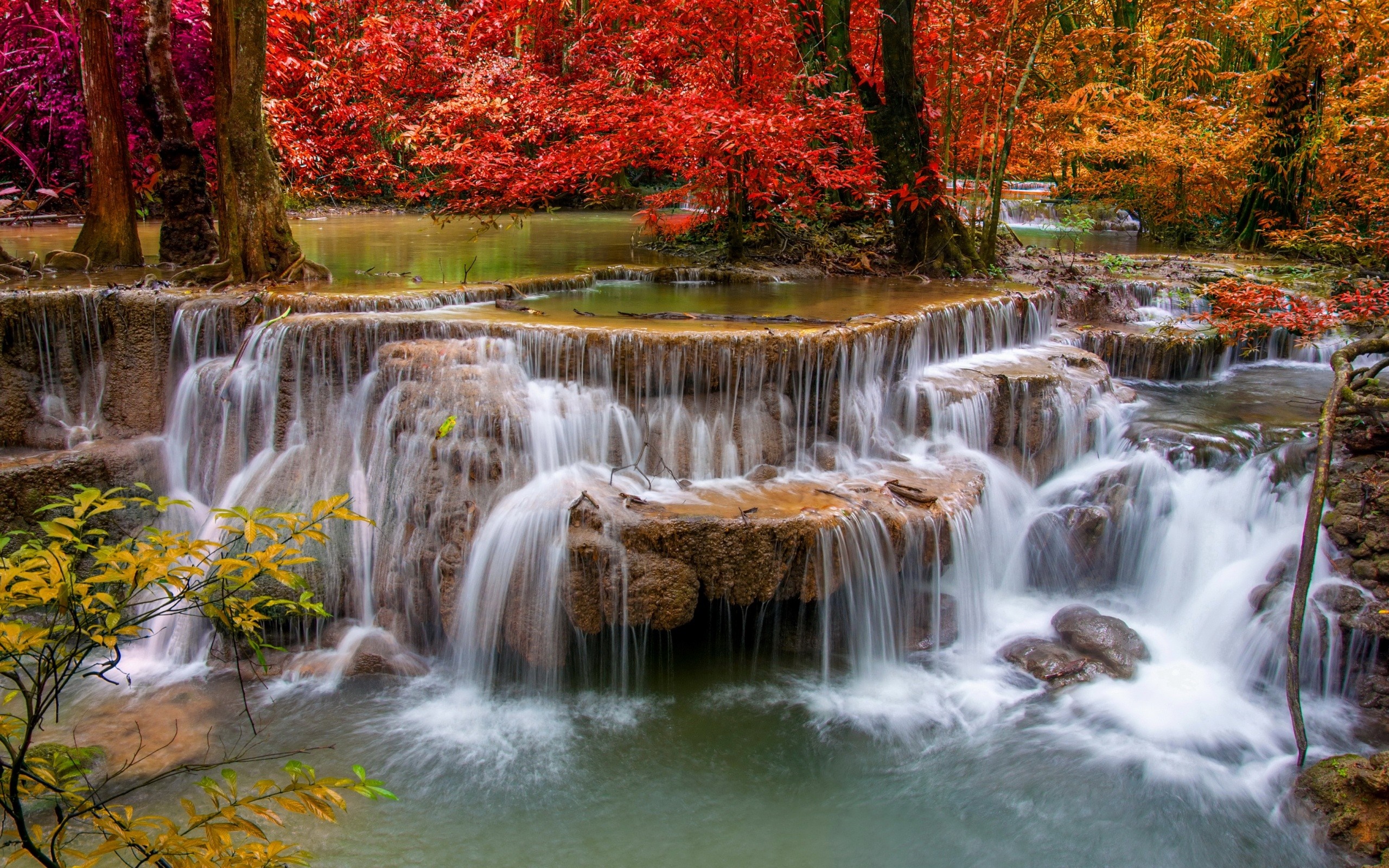Waterfall in a colorful autumn forest HD Wallpaper