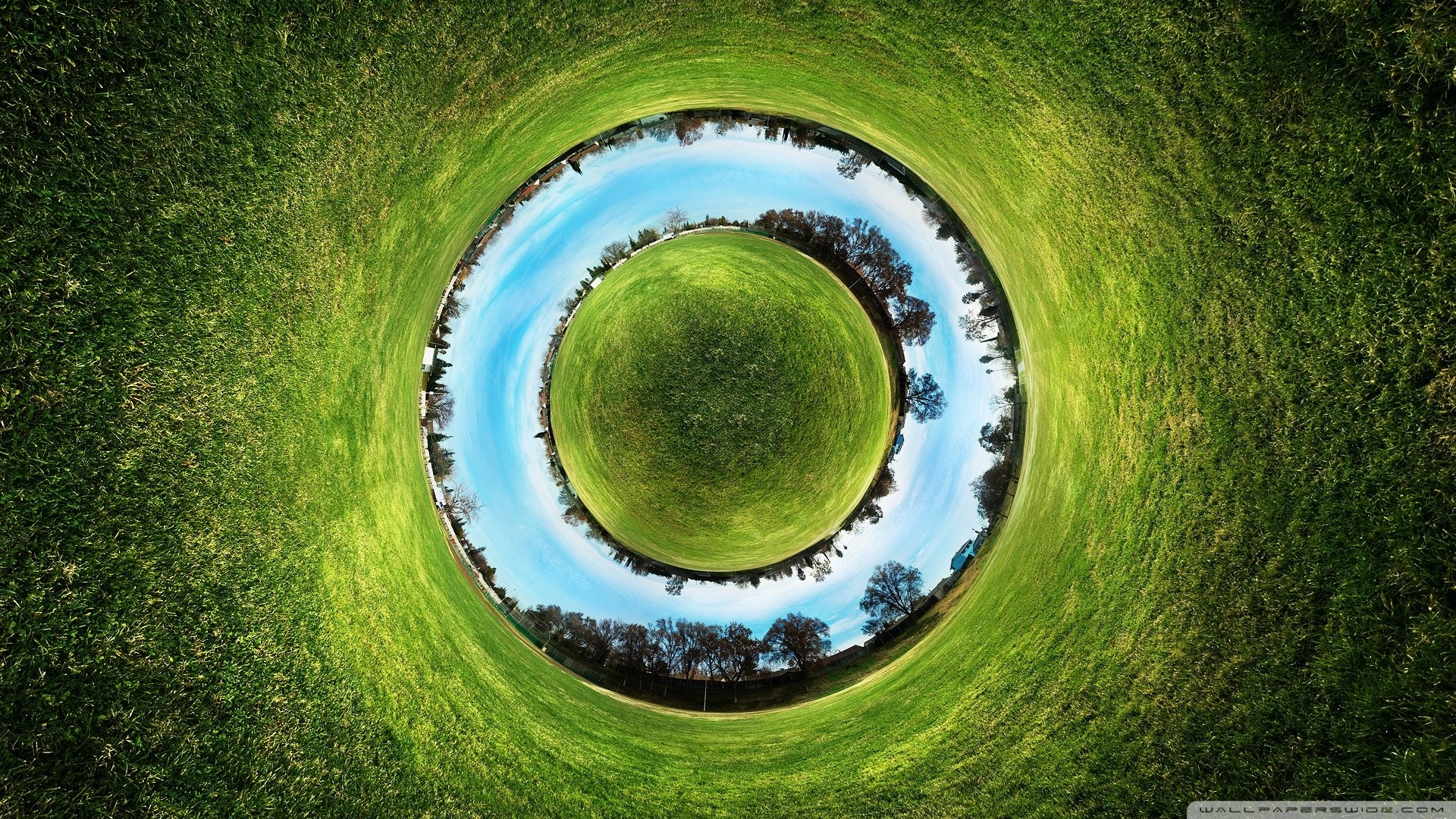 Panoramic sphere of a grassy field with trees and sky HD Wallpaper