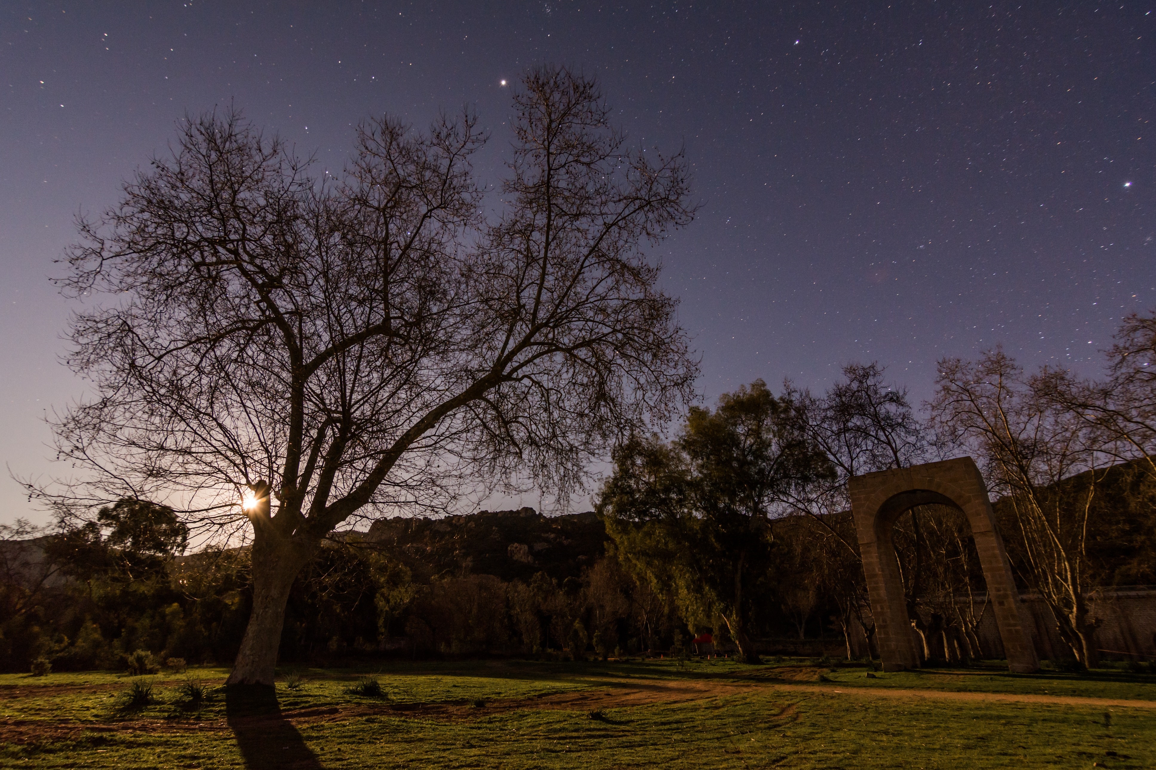 Night landscape with bare tree and ancient archway HD Wallpaper