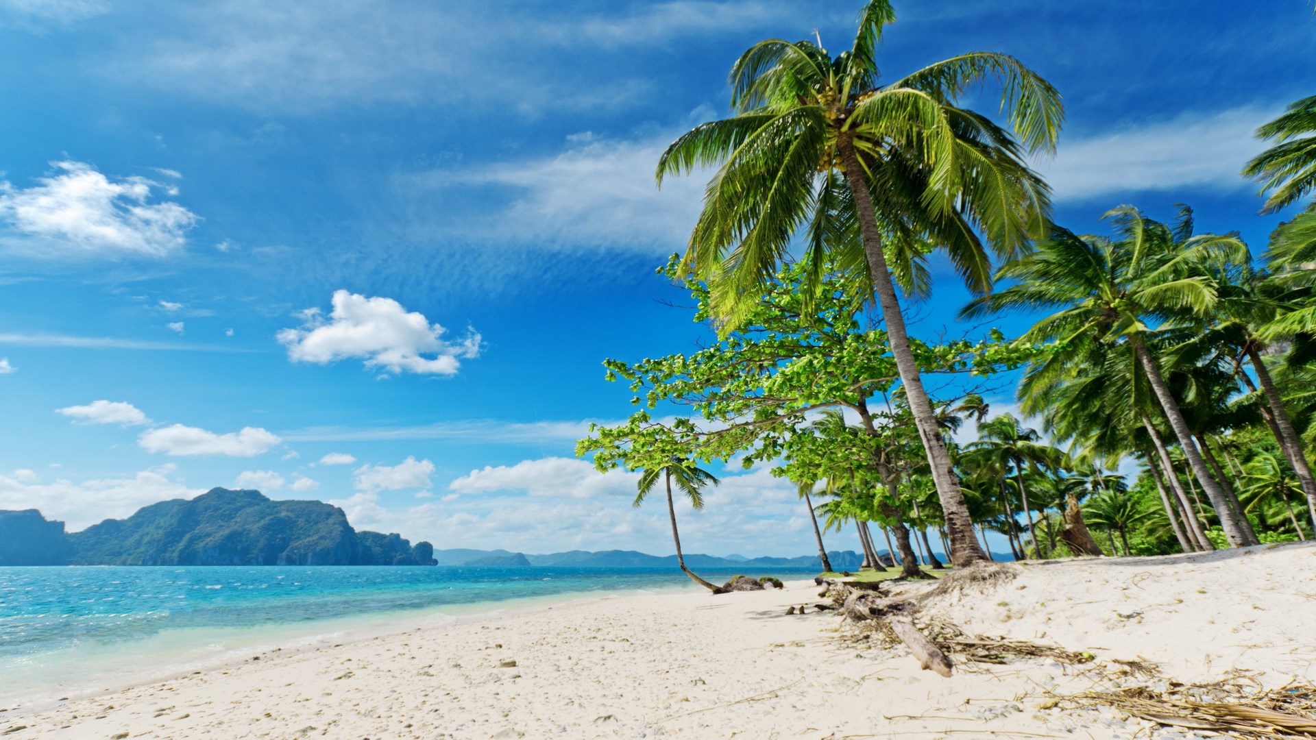 Tropical beach with palm trees and island HD Wallpaper