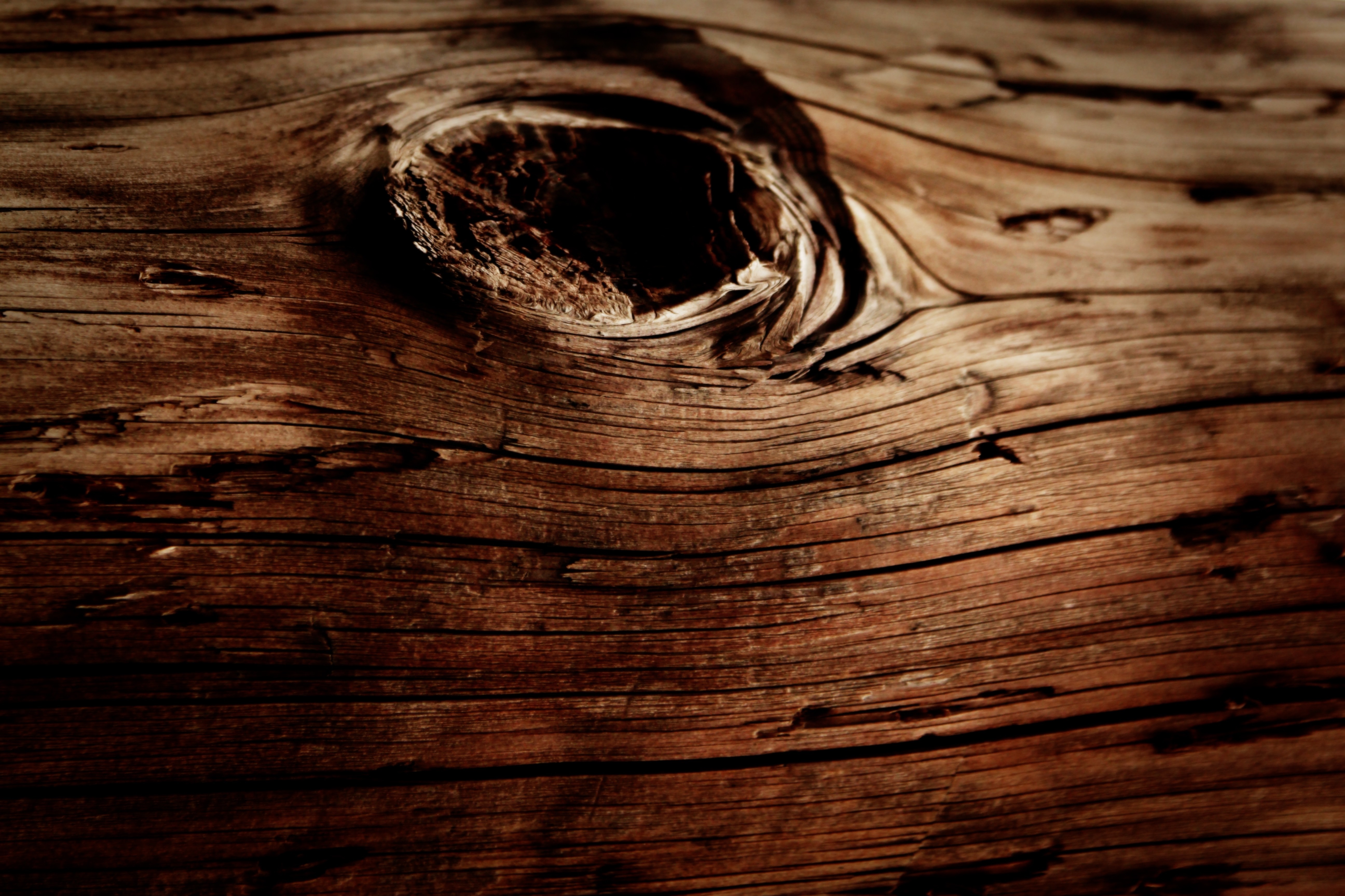 Close-up of weathered wood texture with a knot HD Wallpaper