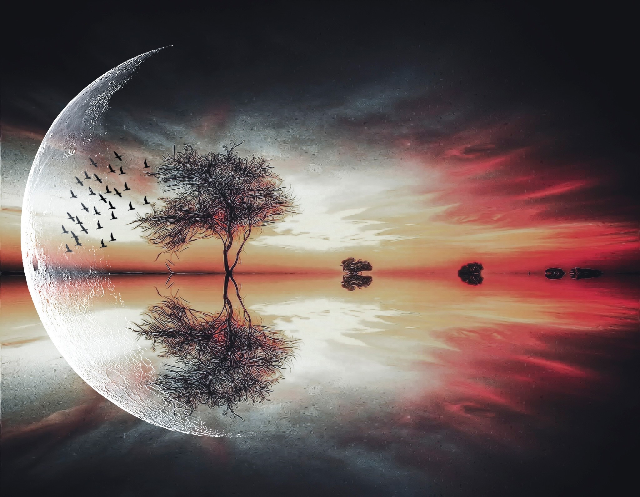 Fantasy landscape with moon, tree, birds, and sunset reflection HD Wallpaper