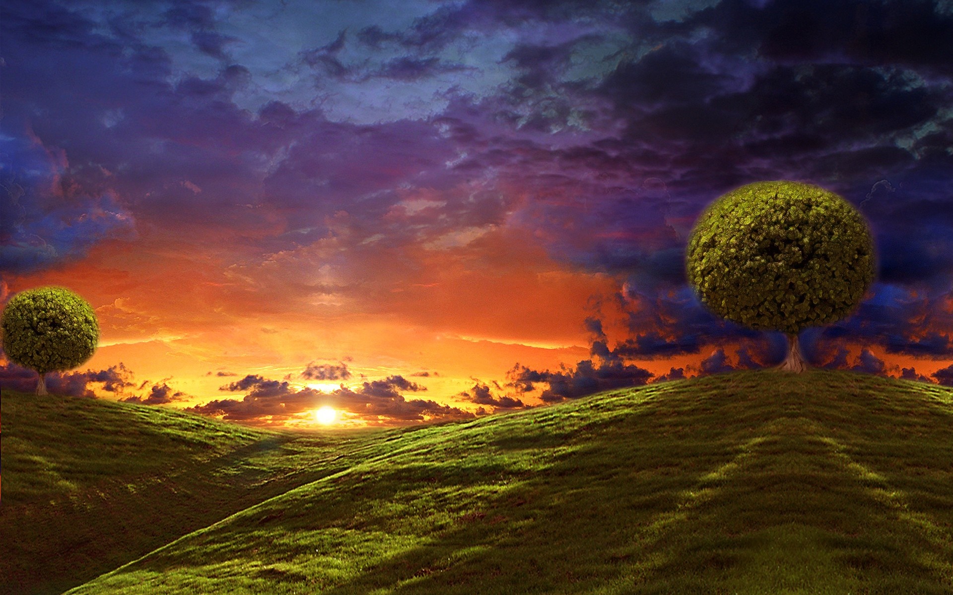 Sunset over rolling hills with two trees HD Wallpaper