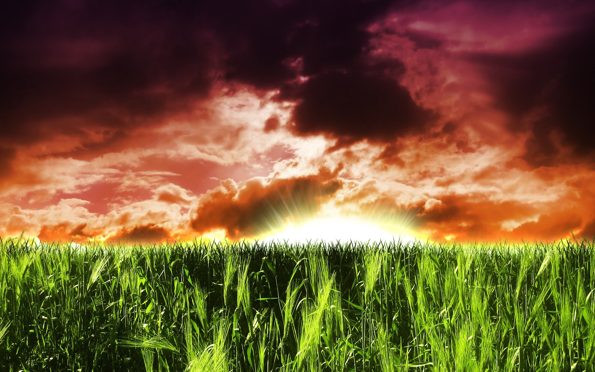 Sunset over a green field with dramatic clouds HD Wallpaper