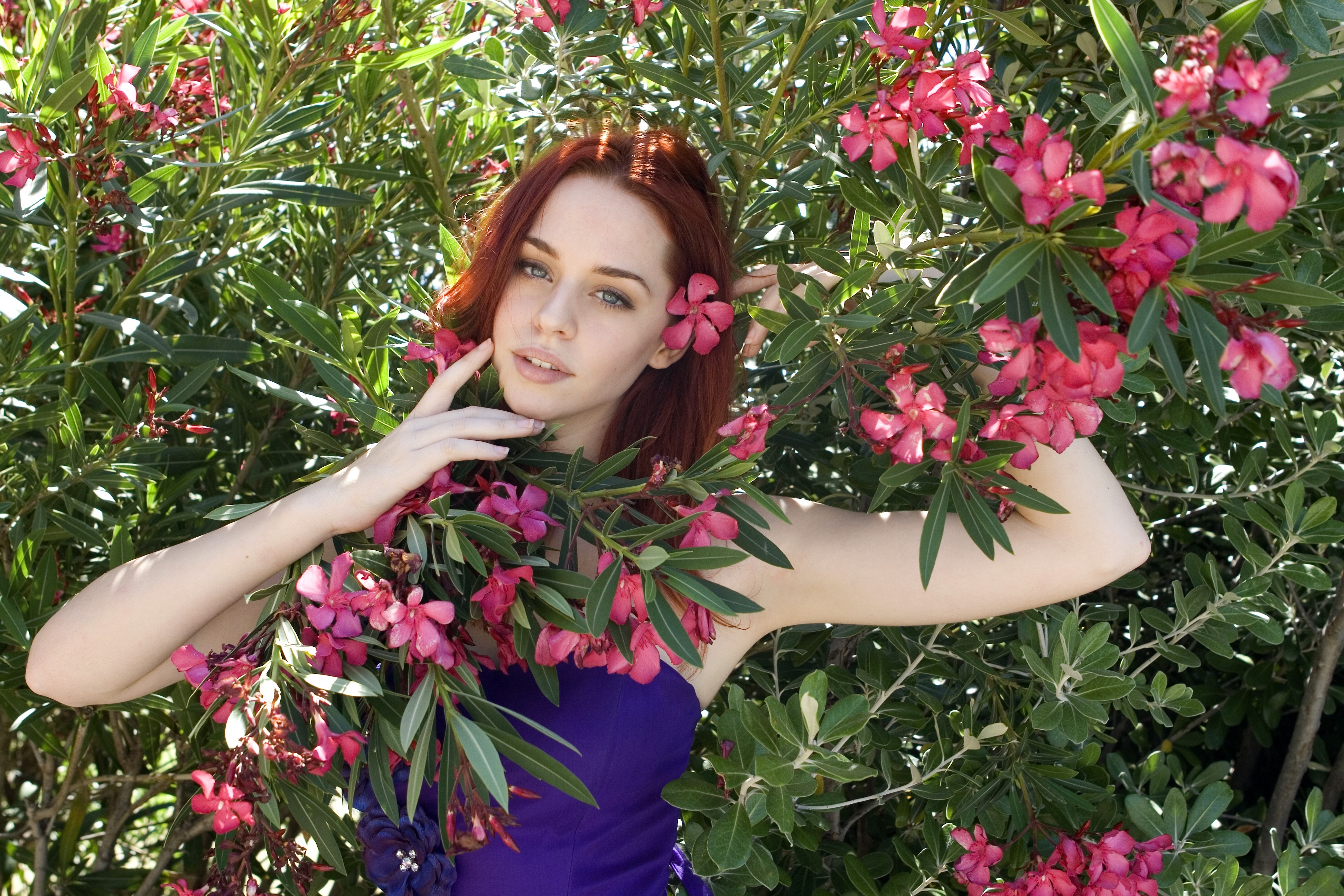 Redhead woman in purple dress surrounded by pink flowers HD Wallpaper