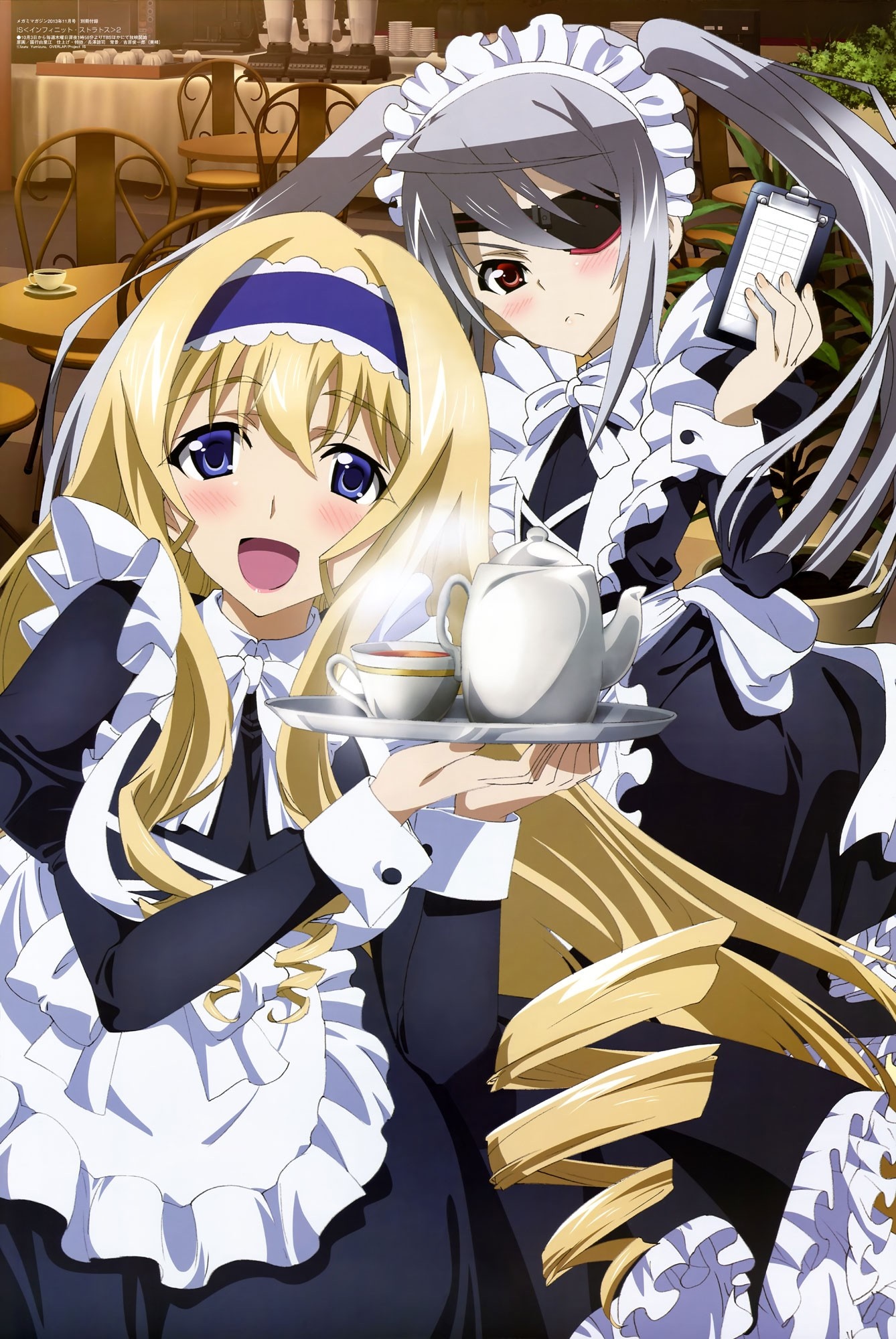 Laura Bodewig and Cecilia Alcot from Infinite Stratos HD Wallpaper