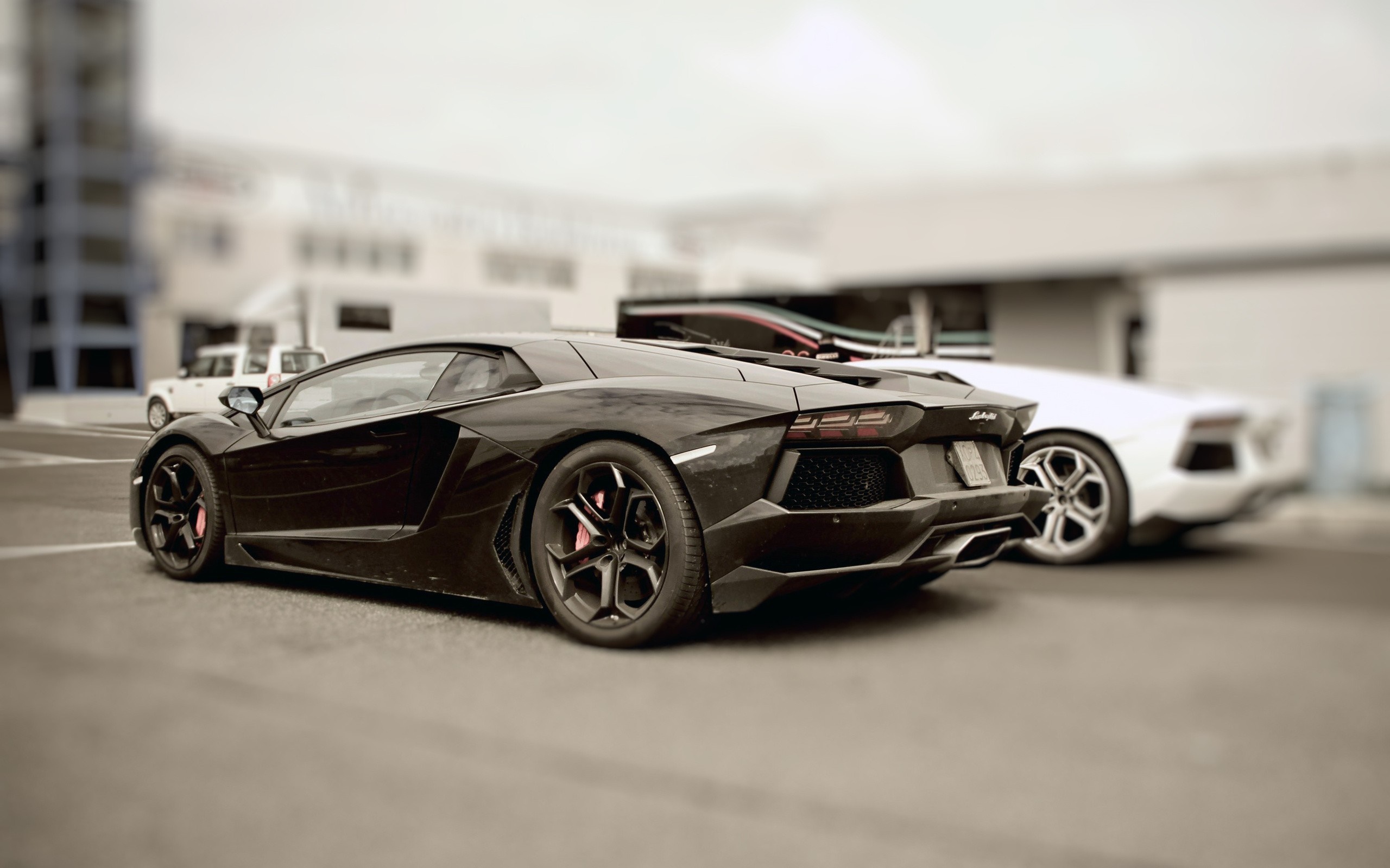 Black and white Lamborghini Aventador sports cars HD Wallpaper