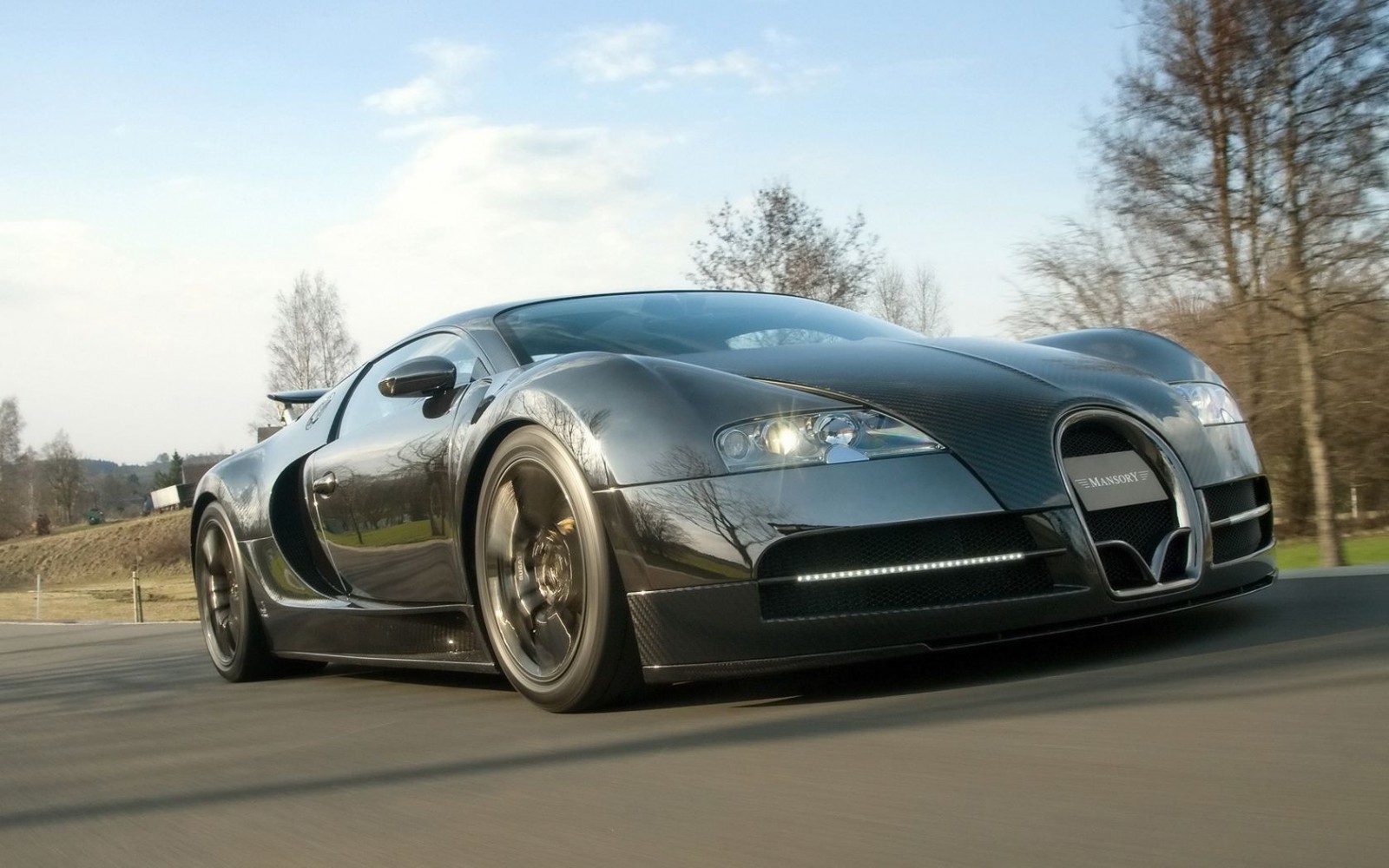 Mansory Bugatti Veyron driving on a road HD Wallpaper