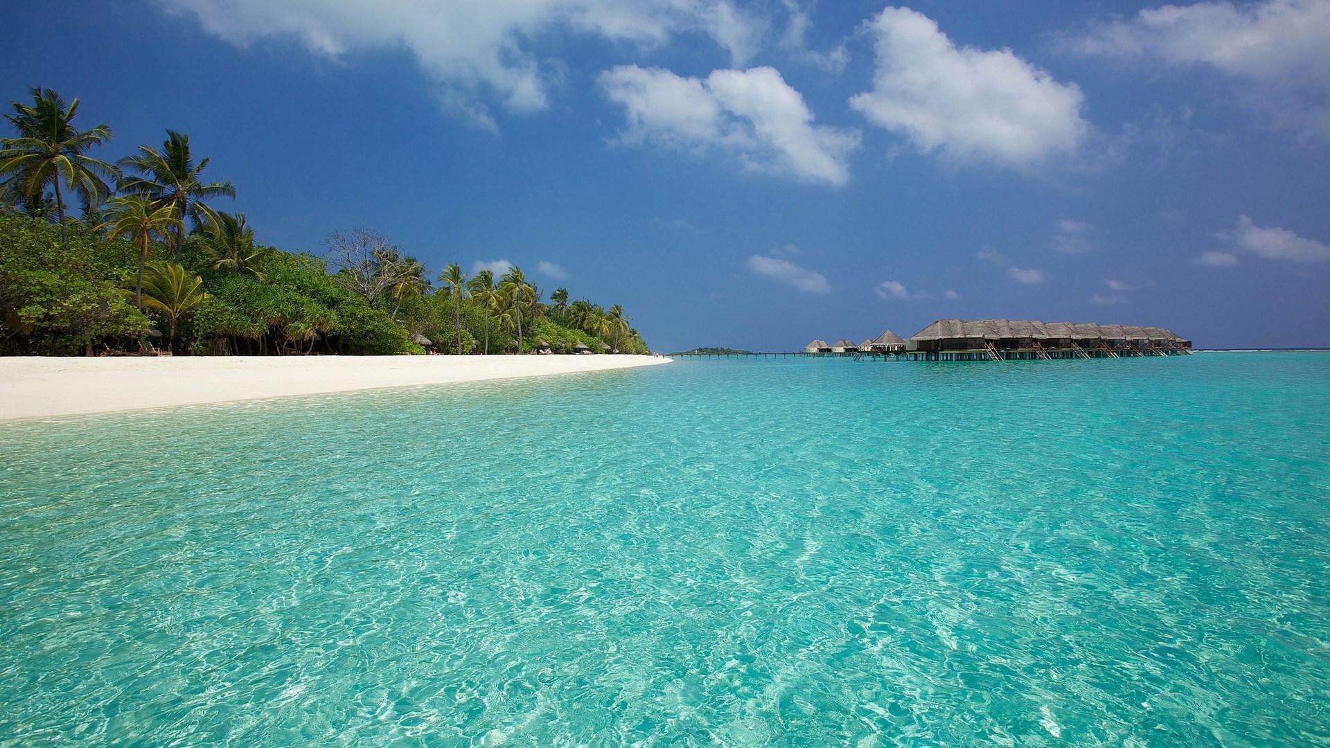 Tropical island with overwater bungalows and clear turquoise water HD Wallpaper