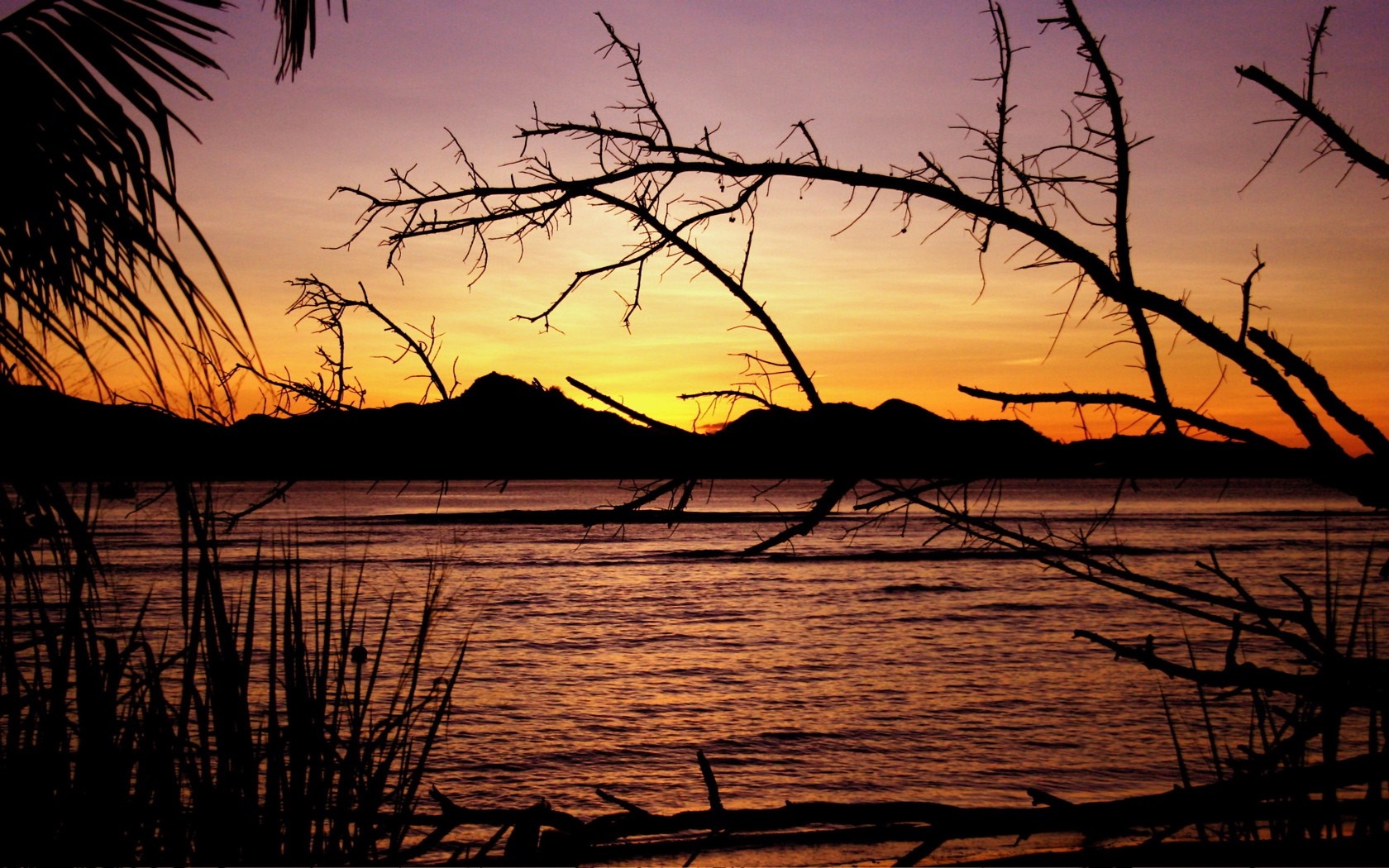Silhouette of trees and mountains at sunset over the sea HD Wallpaper