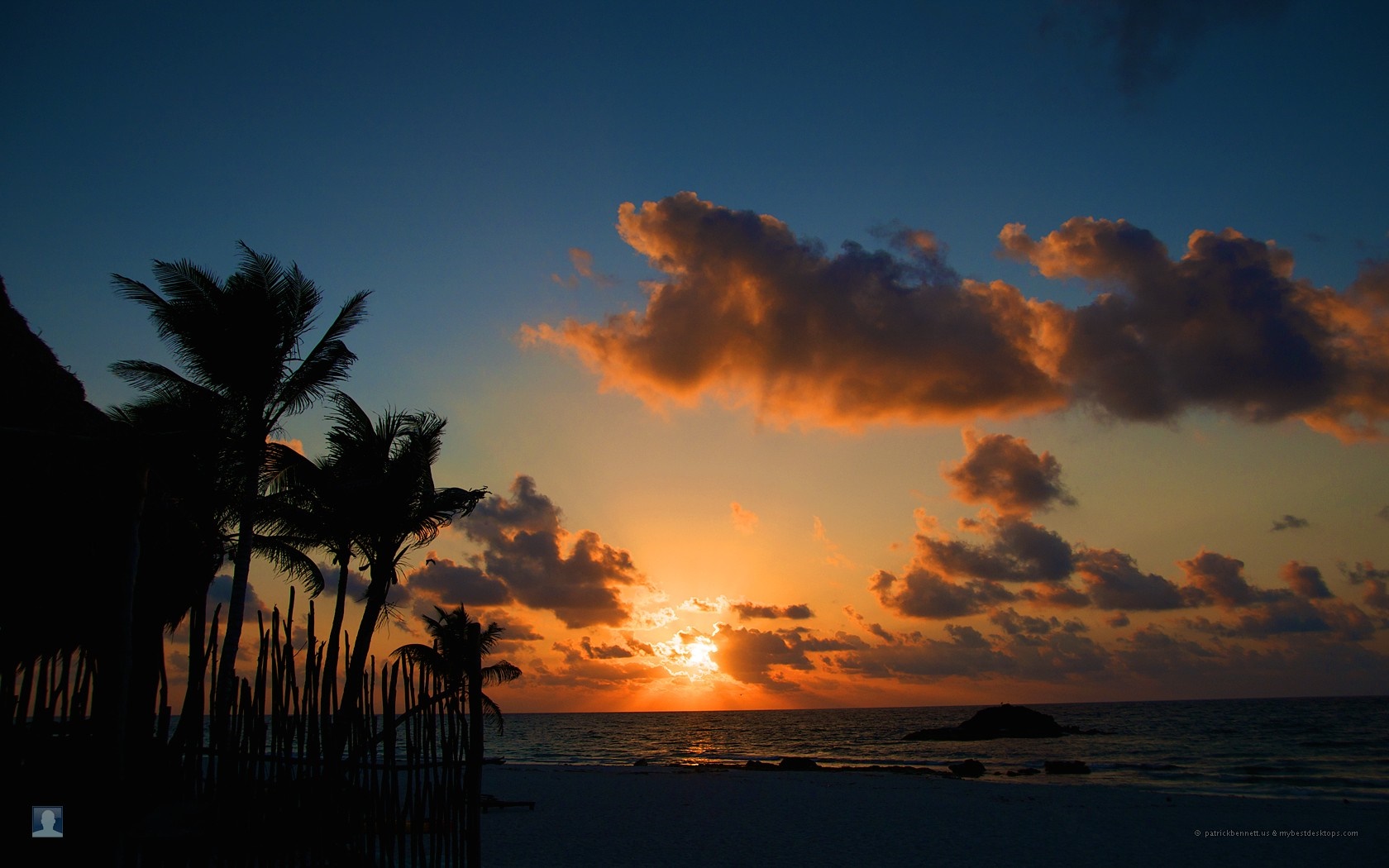 Sunset over the ocean with palm trees on the beach HD Wallpaper