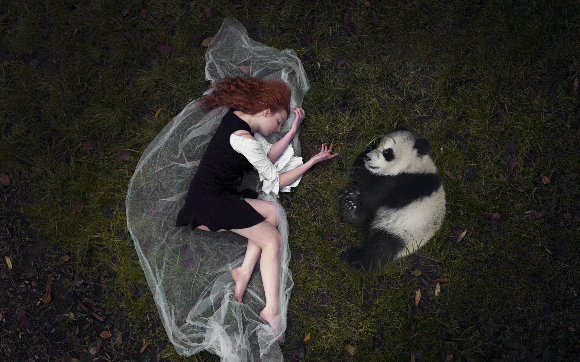 Woman and panda lying on grass HD Wallpaper