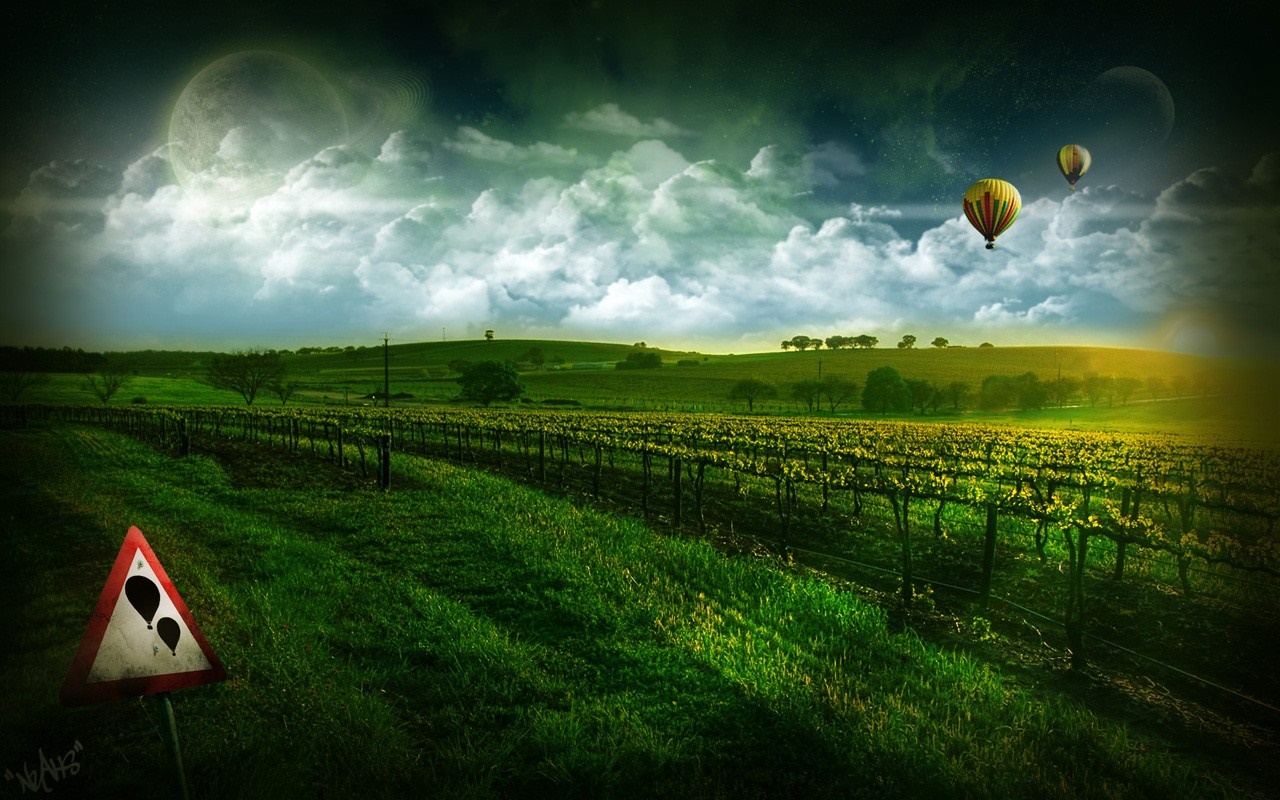 Hot air balloons over a vineyard at sunset HD Wallpaper