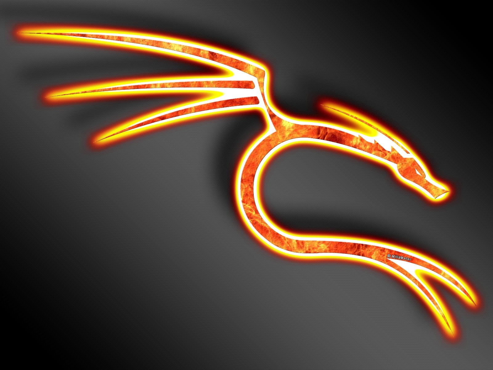 Kali Linux dragon logo with fire effect HD Wallpaper