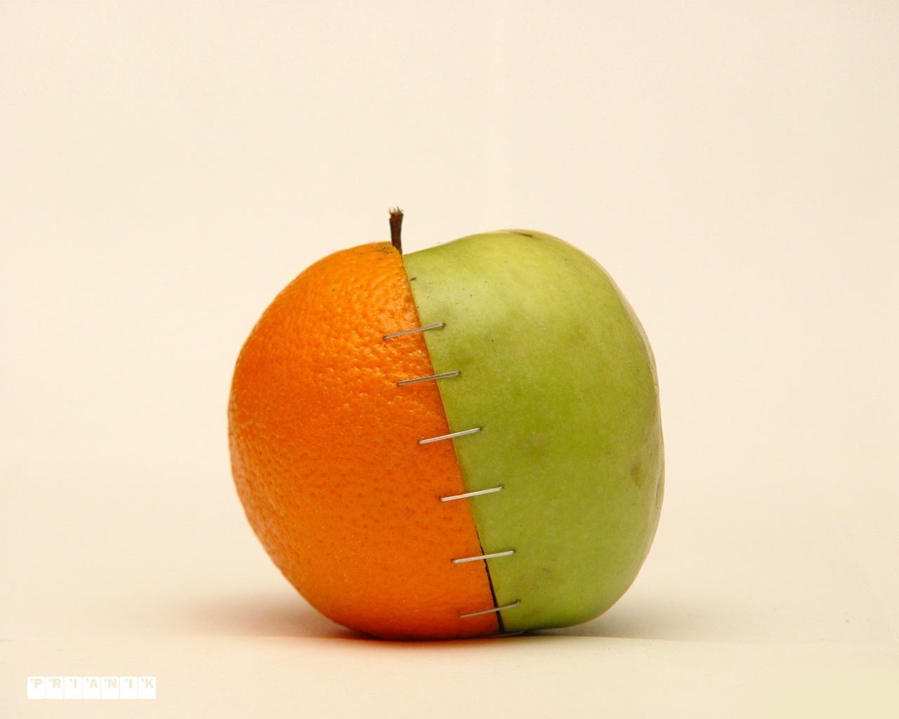 Apple and orange fruit joined by staples HD Wallpaper