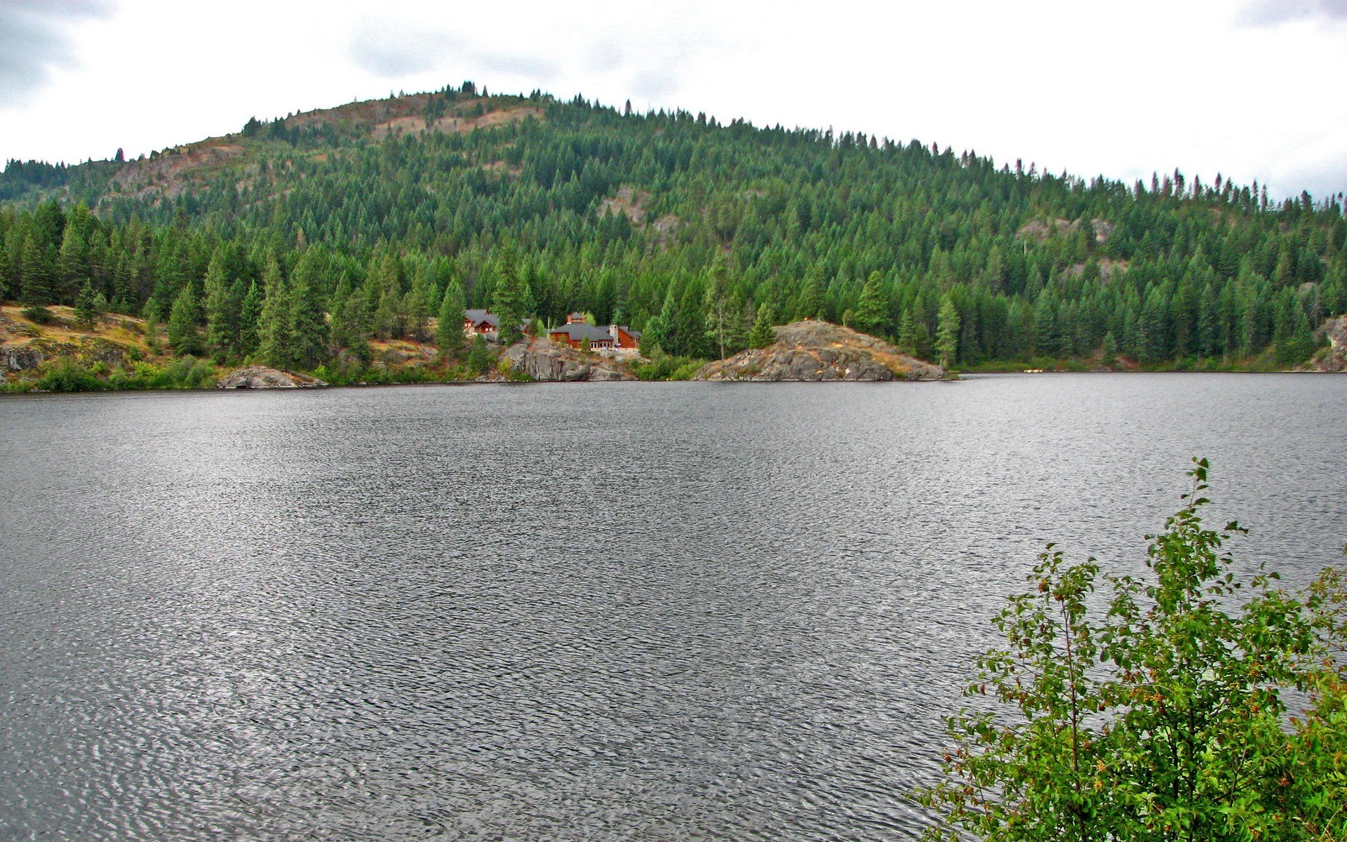 Lake and forested hill with houses HD Wallpaper