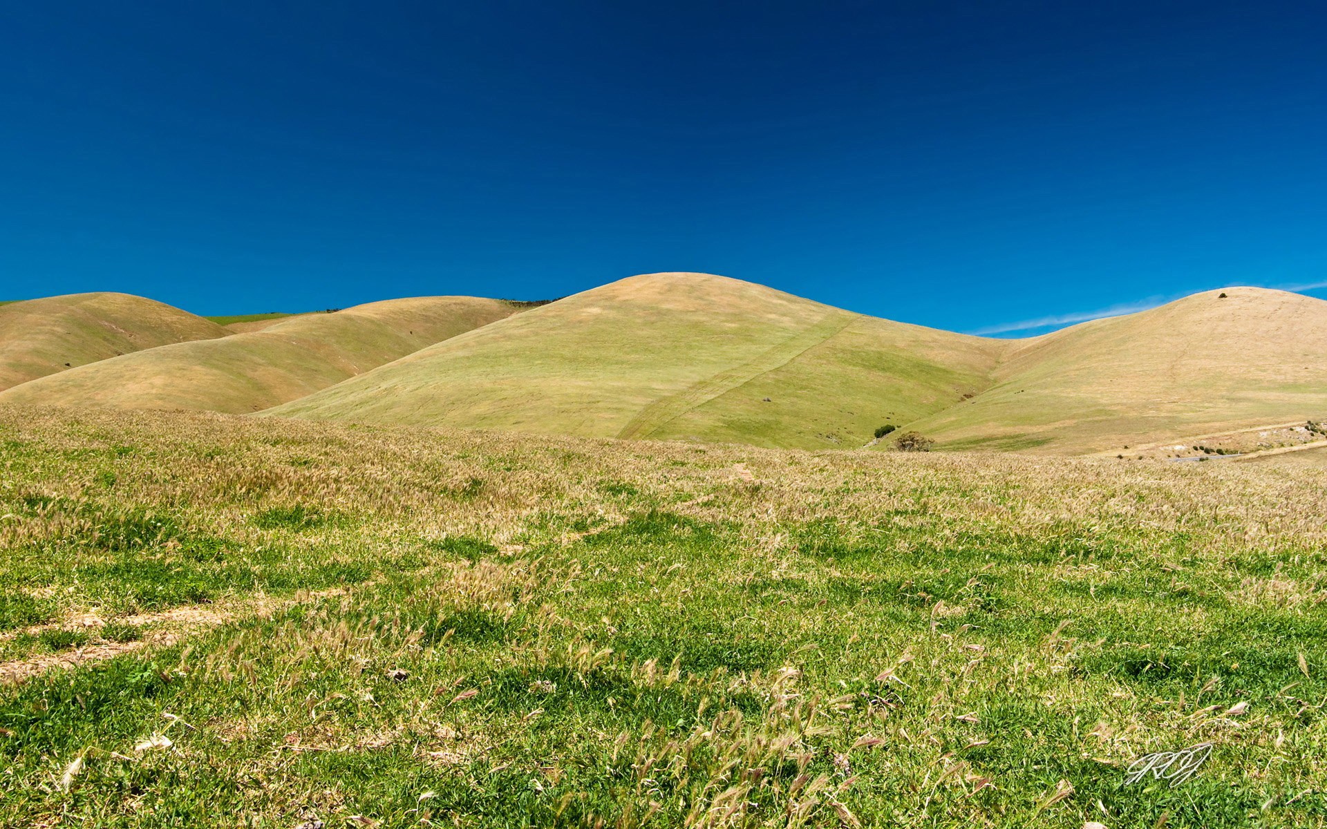 Rolling green hills under a clear blue sky HD Wallpaper