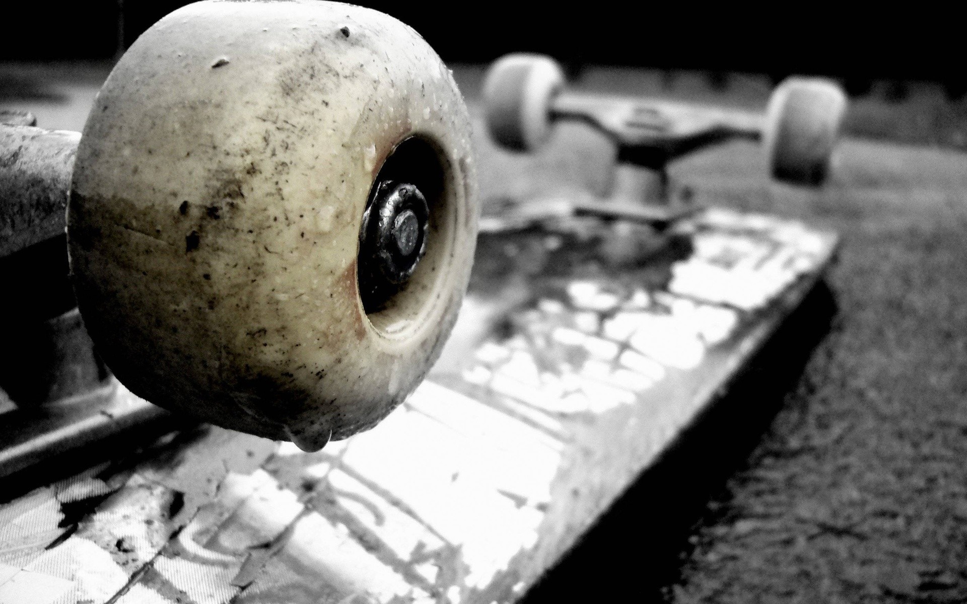 Close-up of a wet skateboard wheel and deck HD Wallpaper